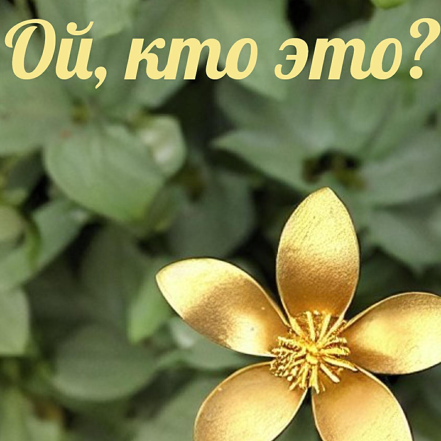 Ой кто это?