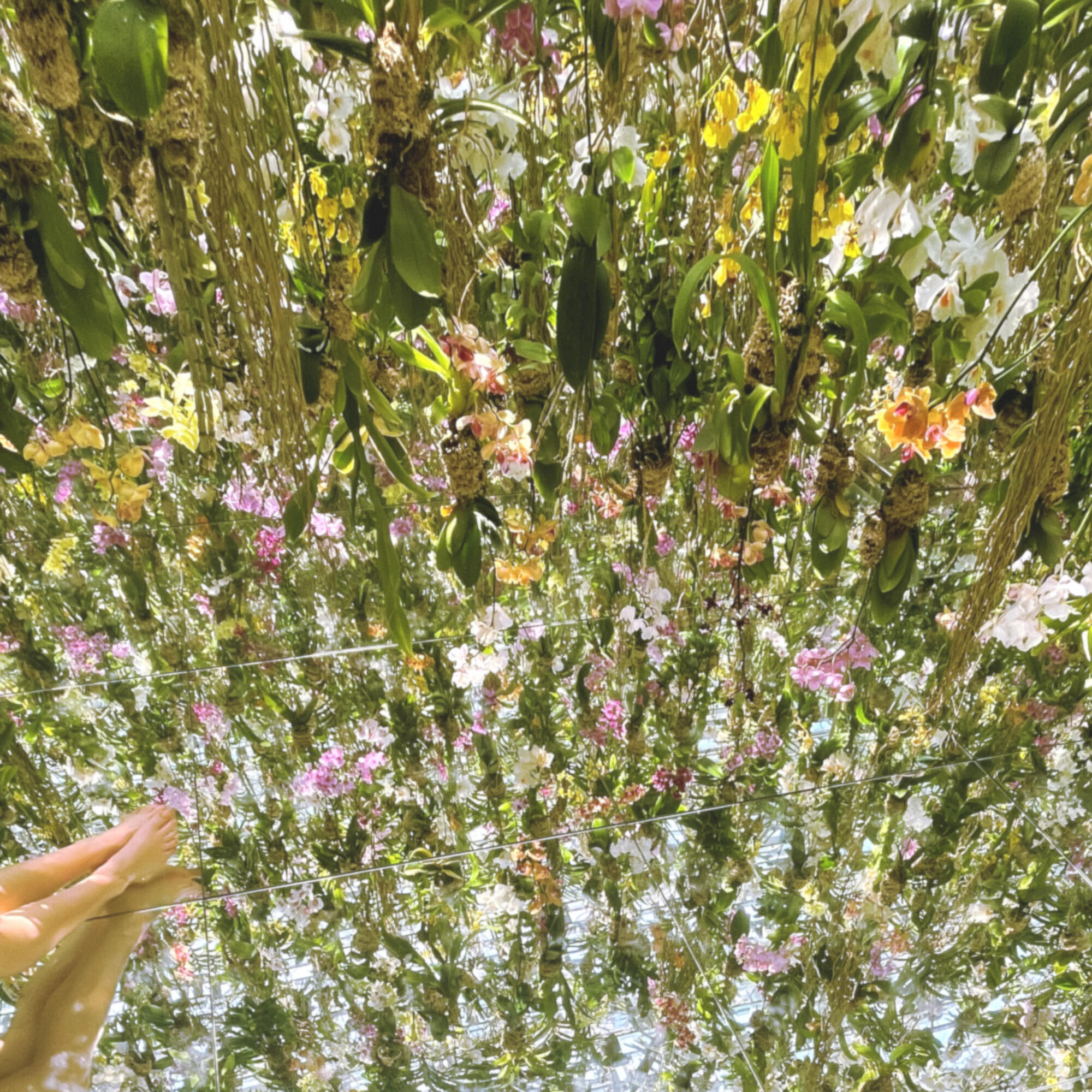 Релиз Mirrorland