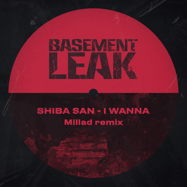 Релиз I Wanna (Millad Remix)