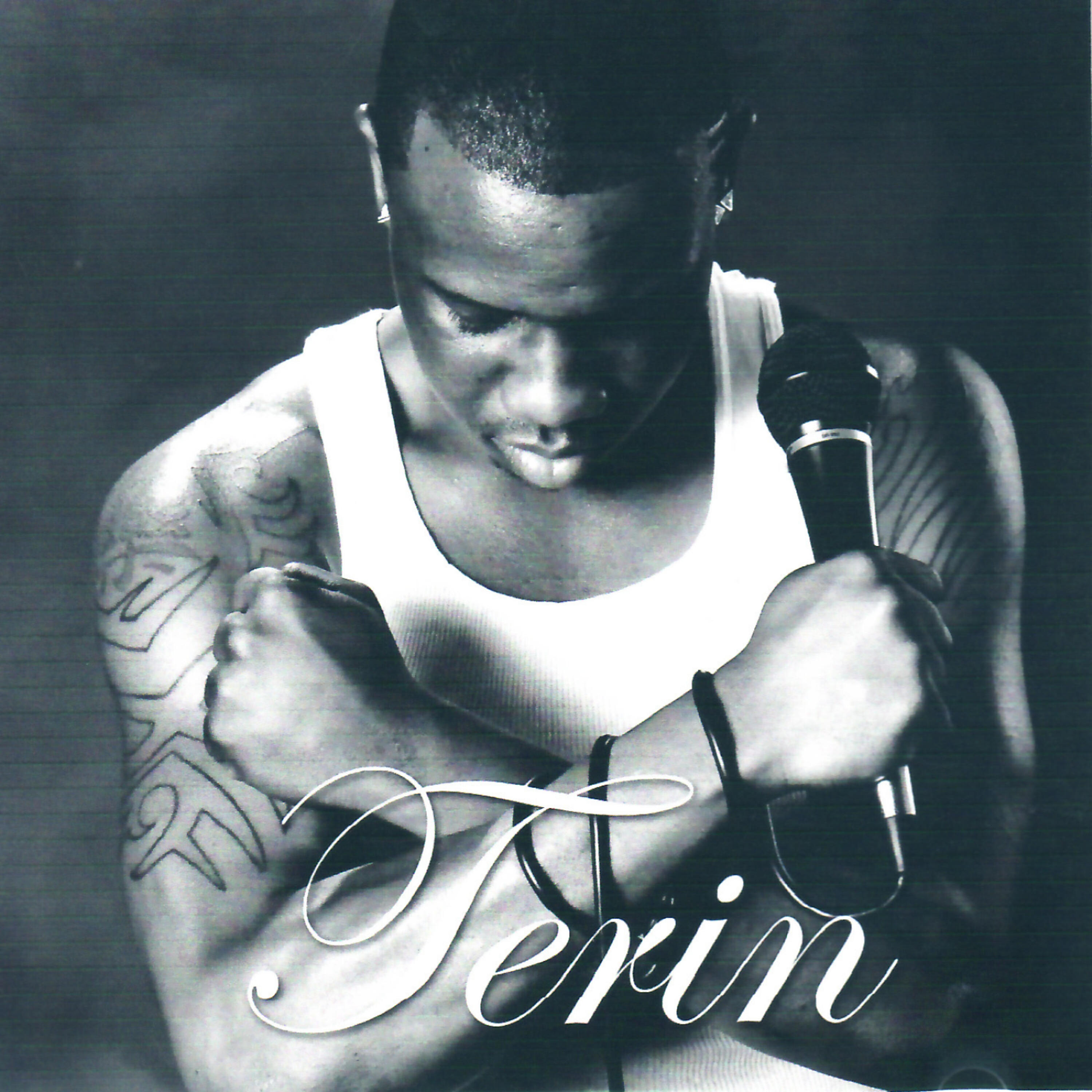 Релиз Terin
