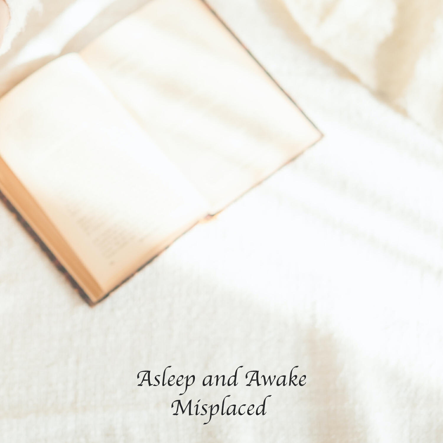 Релиз Misplaced