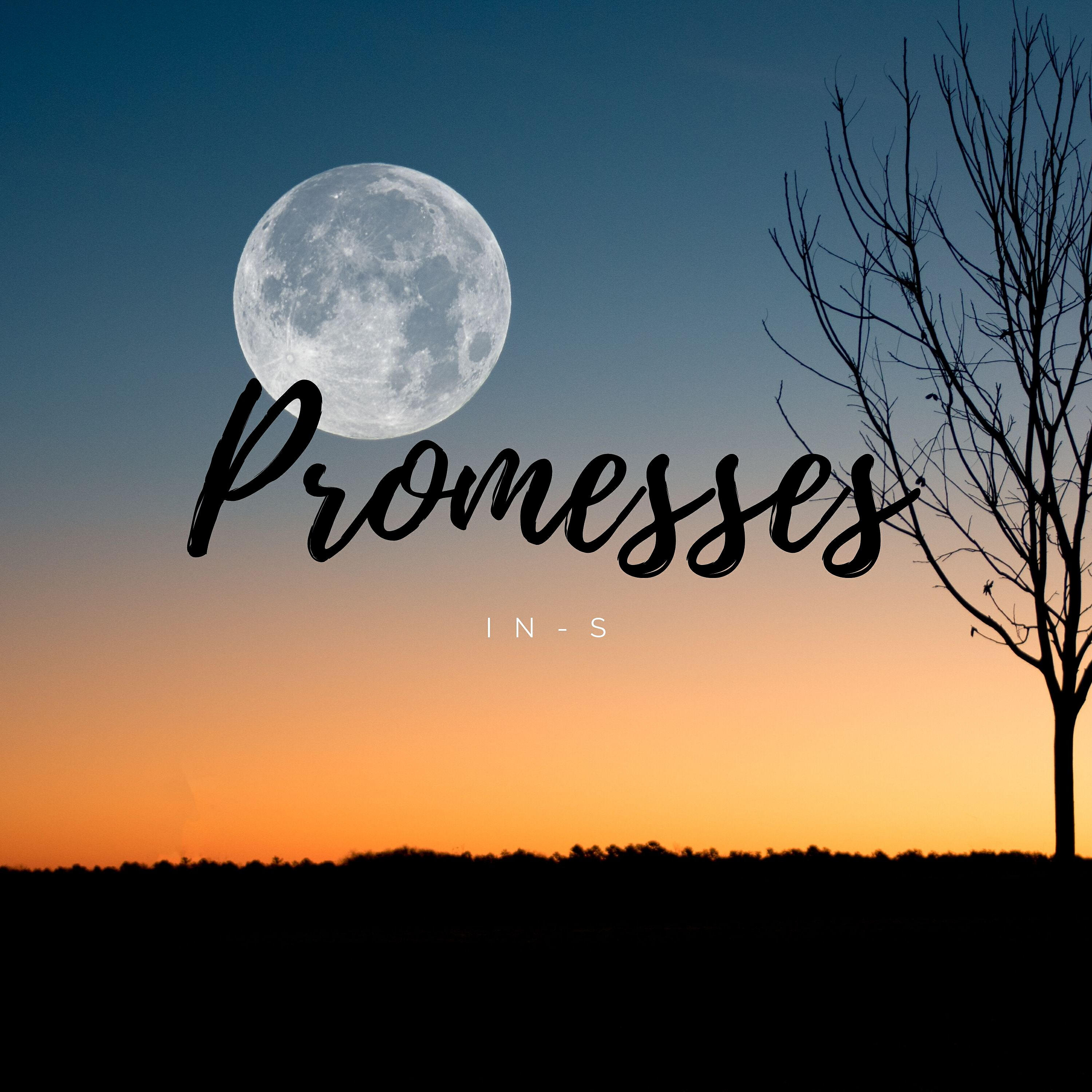 Релиз Promesses