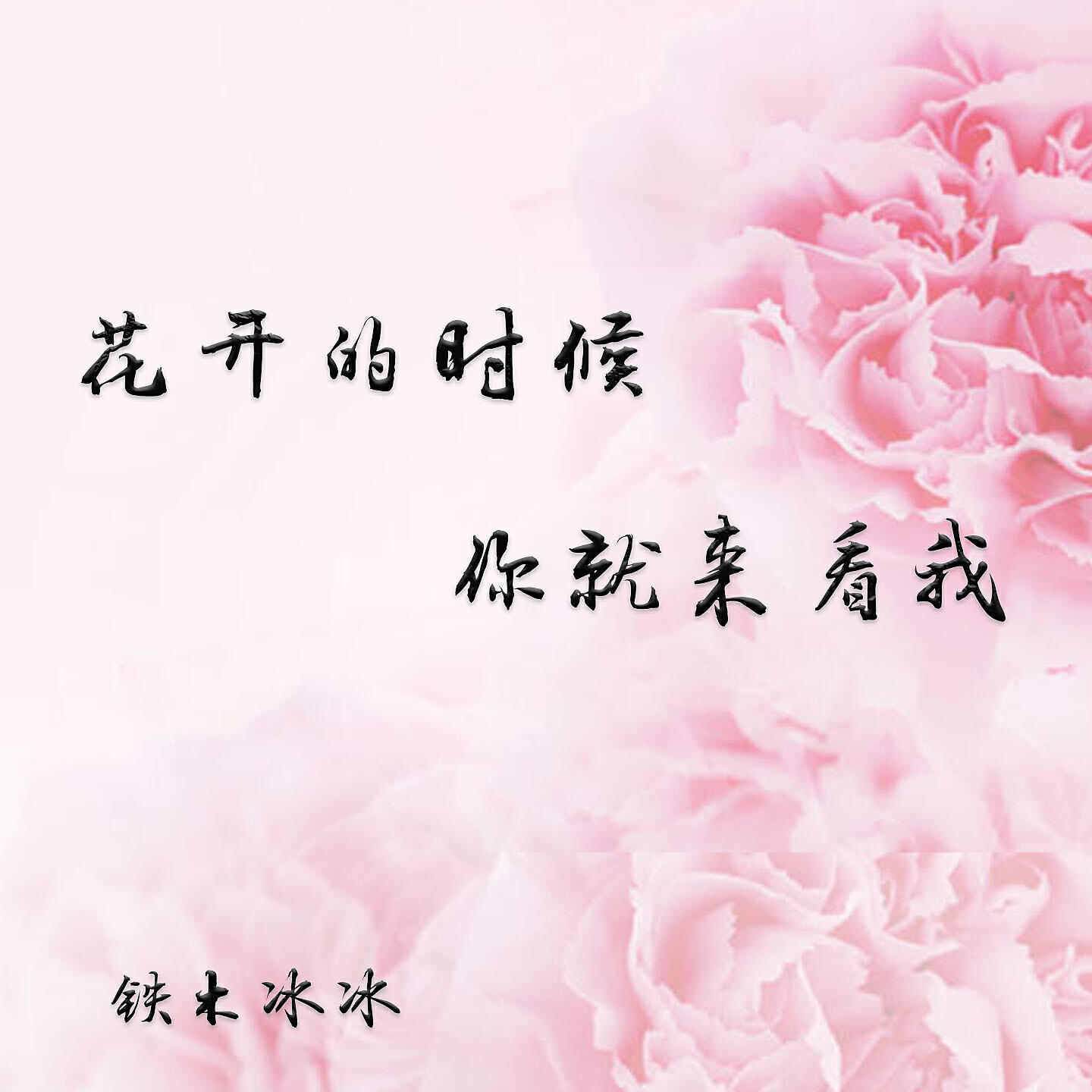 Релиз 花开的时候你就来看我