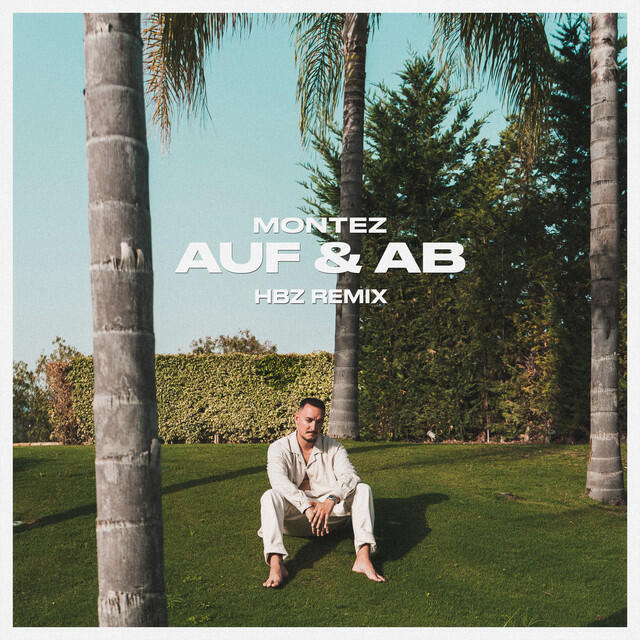 Релиз Auf & Ab (HBz Remix)