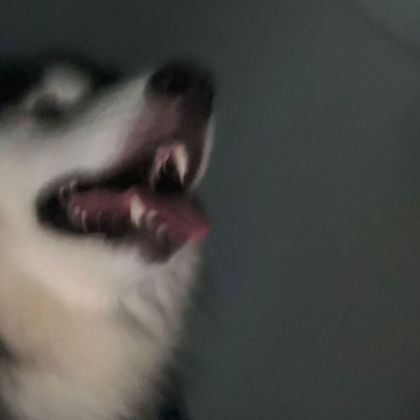 N/A, JKR - เราอาจจะนอนเล่นกันอยู่ในงานเต้นรำ