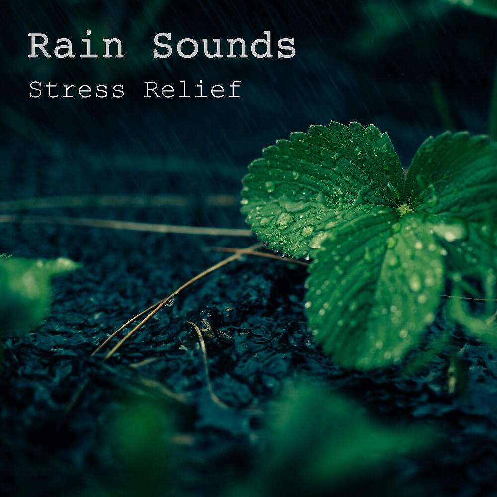 Релиз Stress Relief