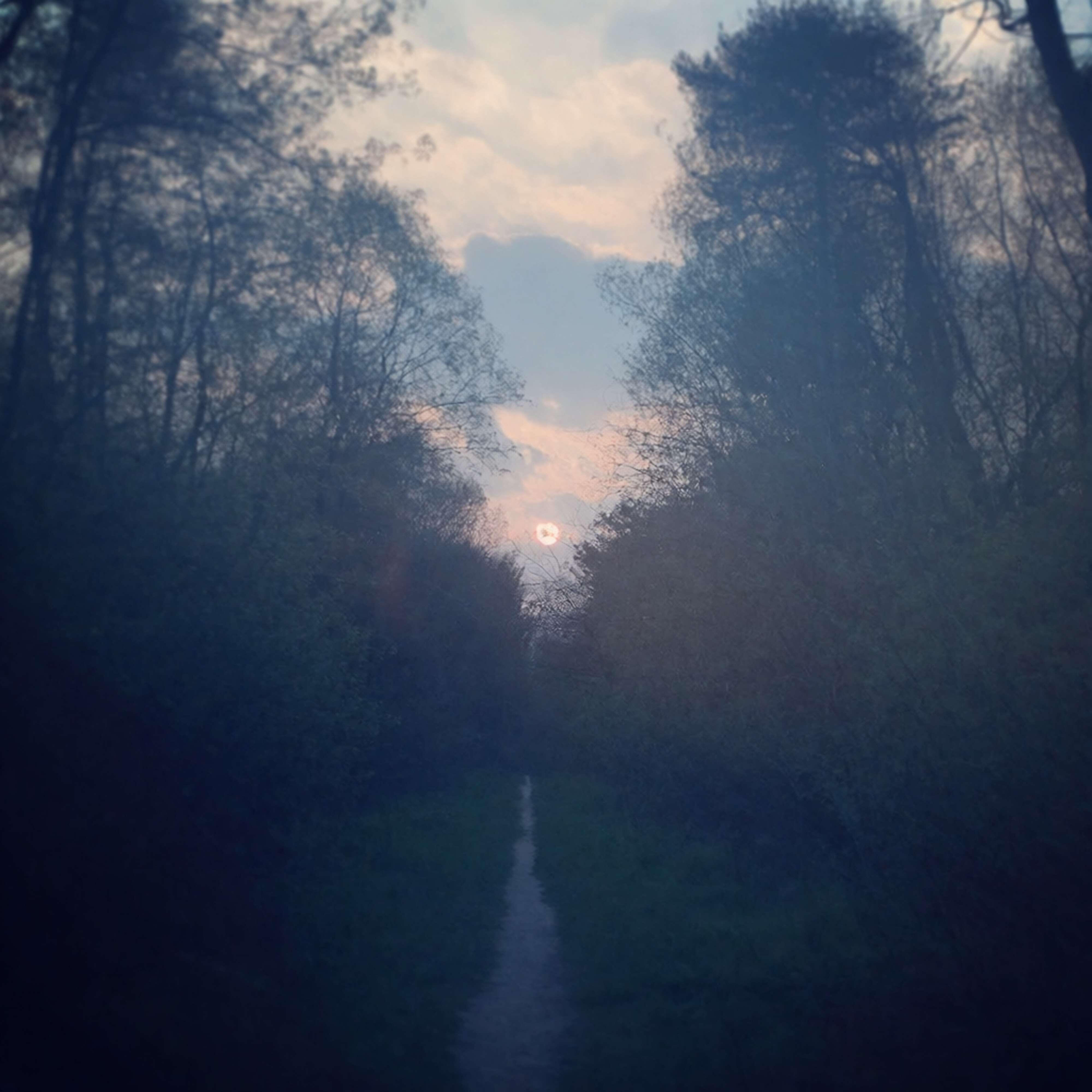 Релиз uninhibitedness