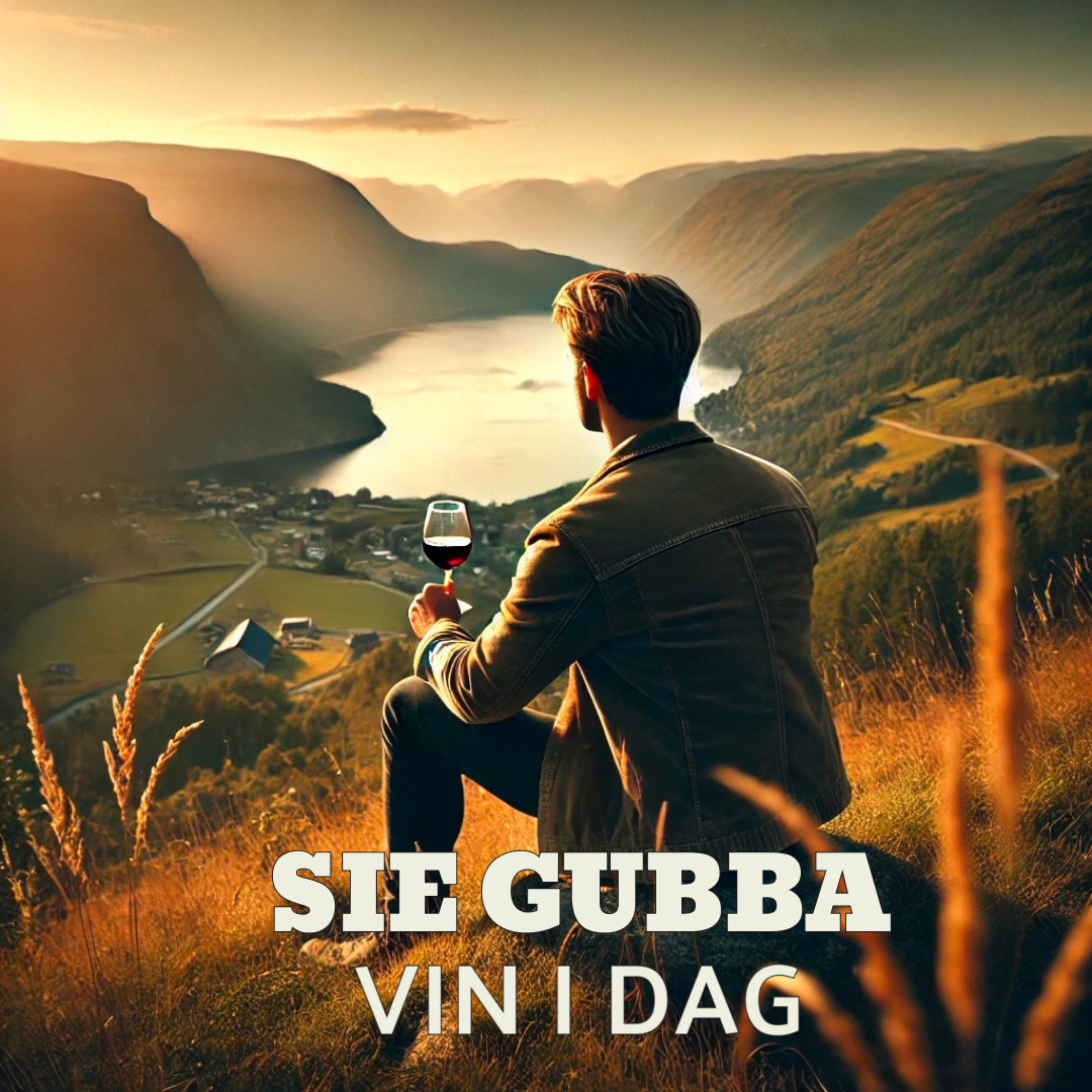 Релиз Vin i dag
