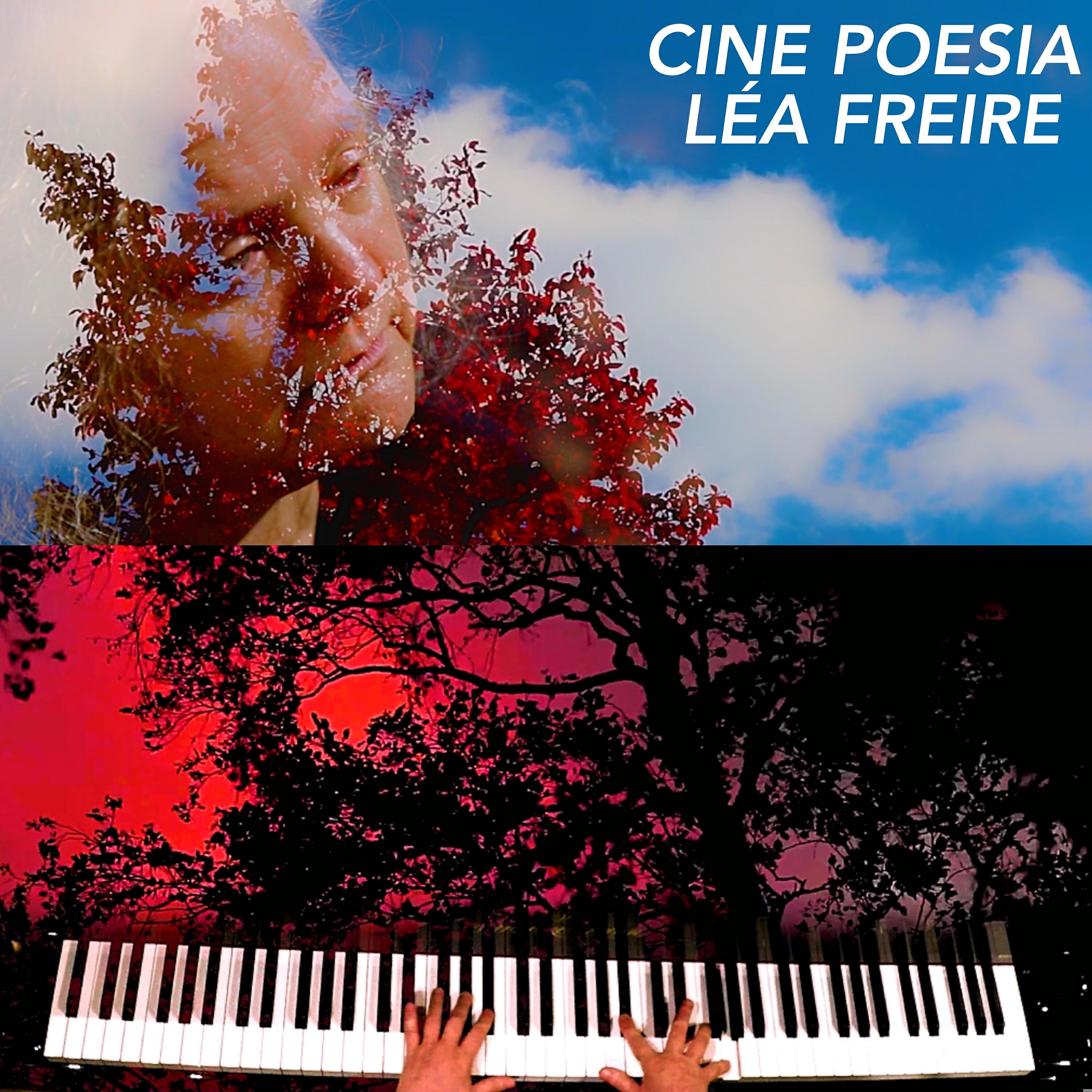 Релиз Cinepoesia: Vento Em Madeira