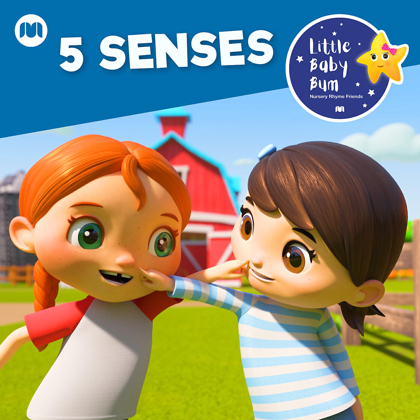 Релиз 5 Senses