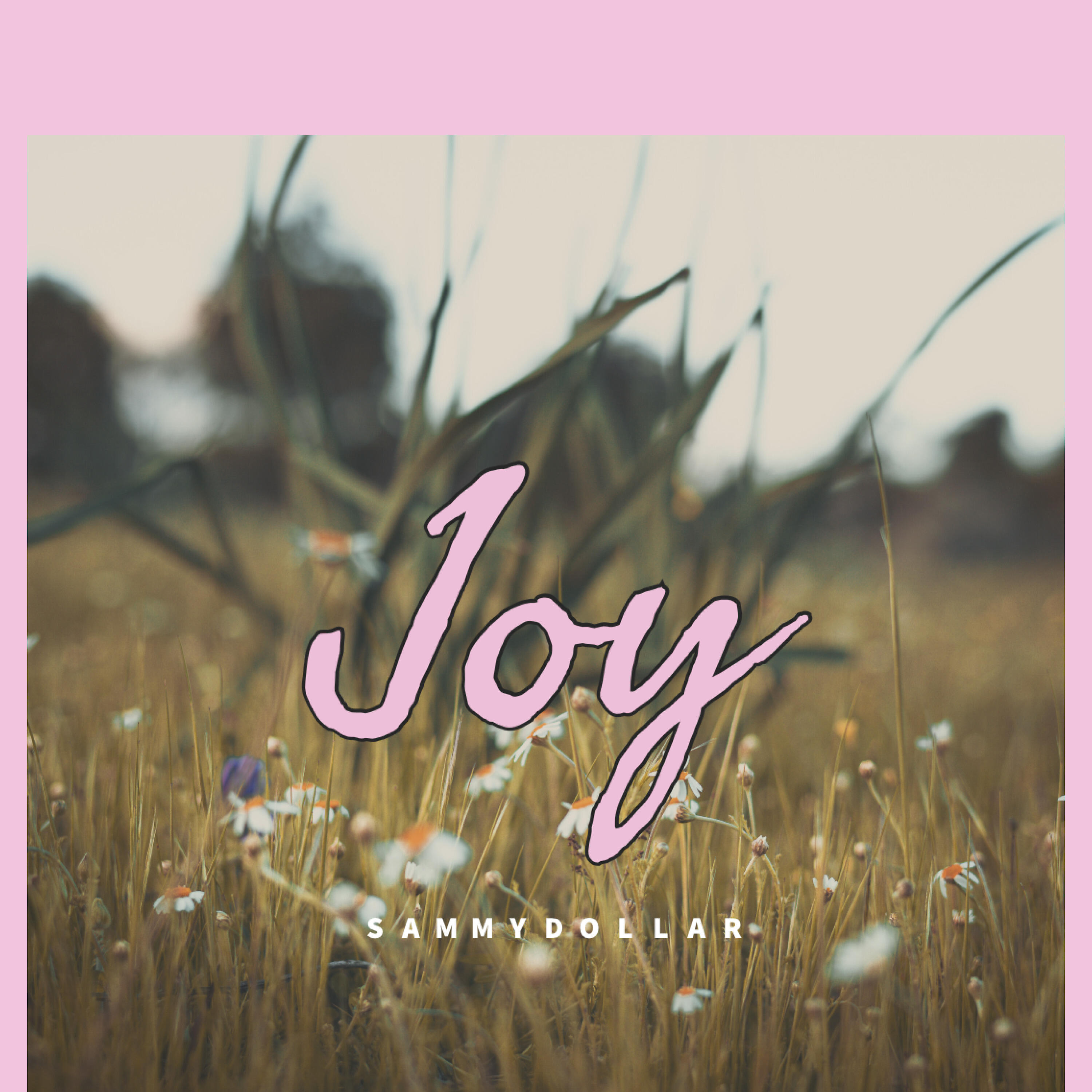 Релиз Joy
