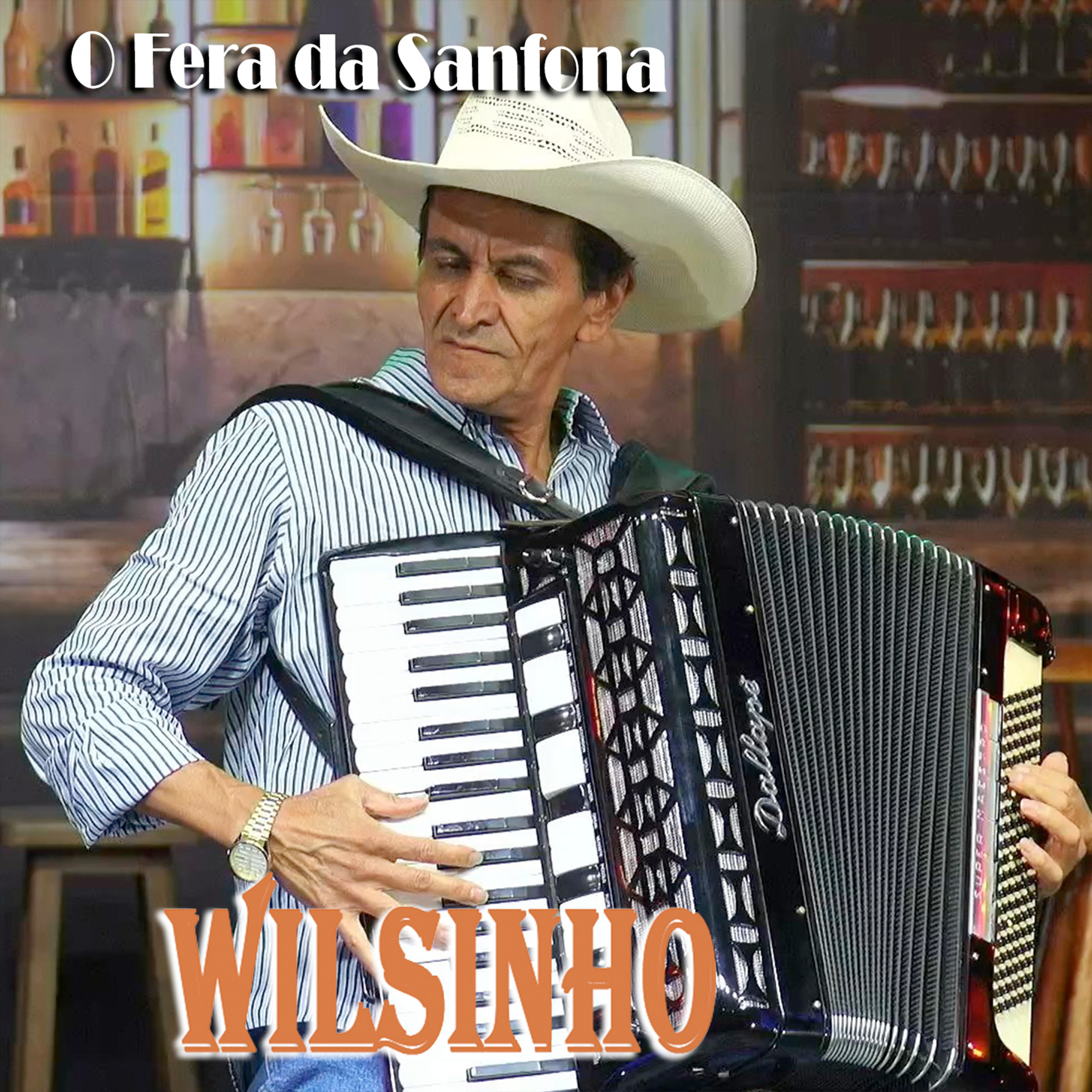 Релиз O Fera da Sanfona