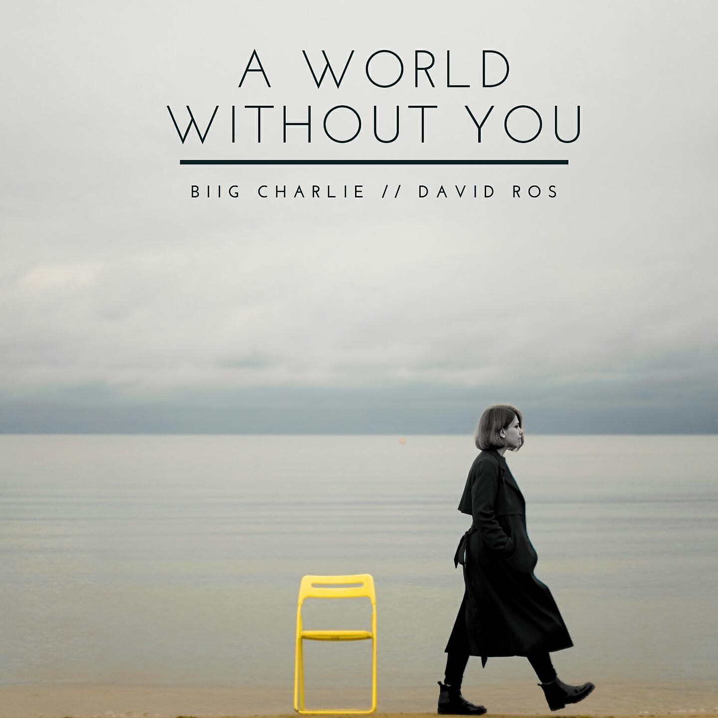 Релиз A World Without You