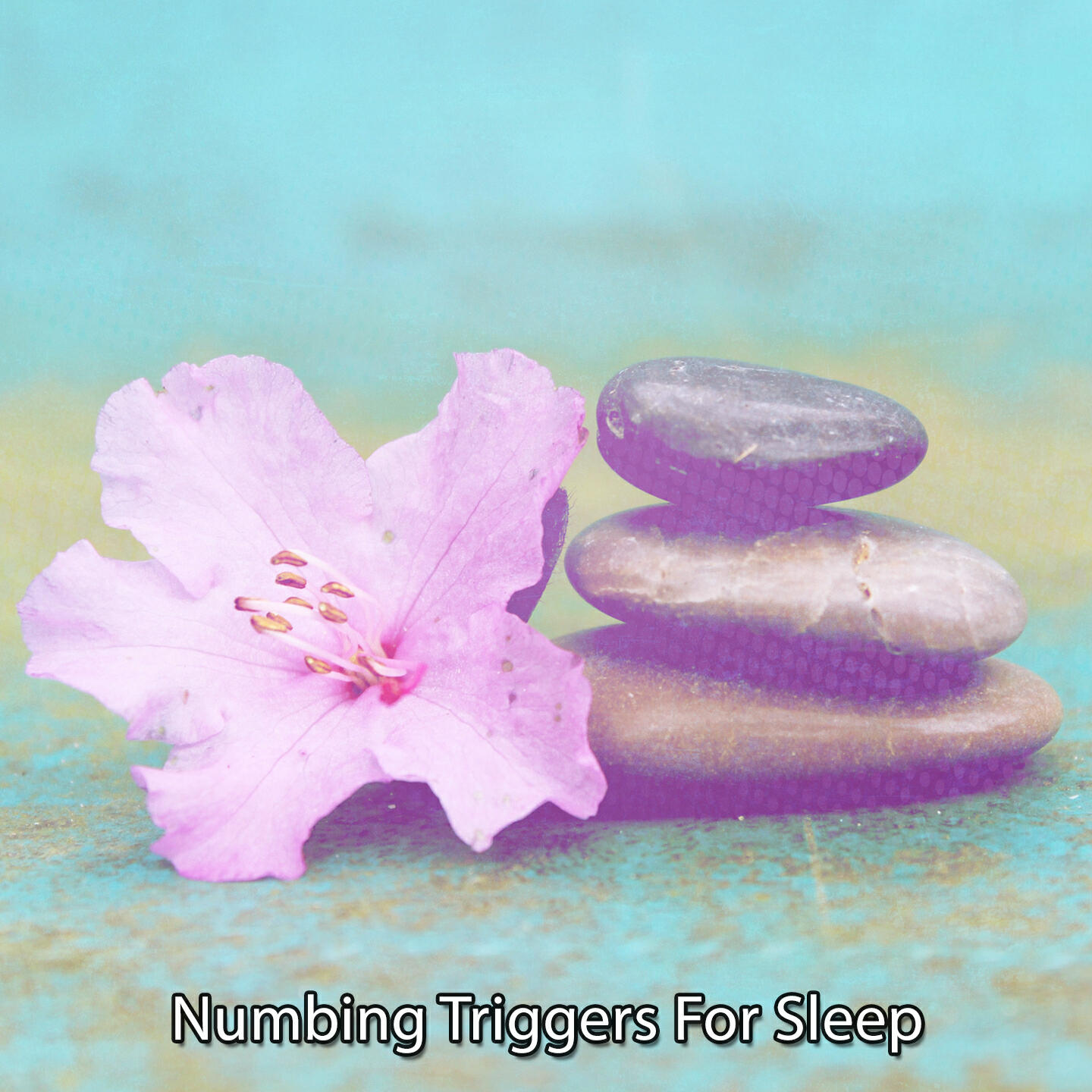 Релиз Numbing Triggers For Sleep