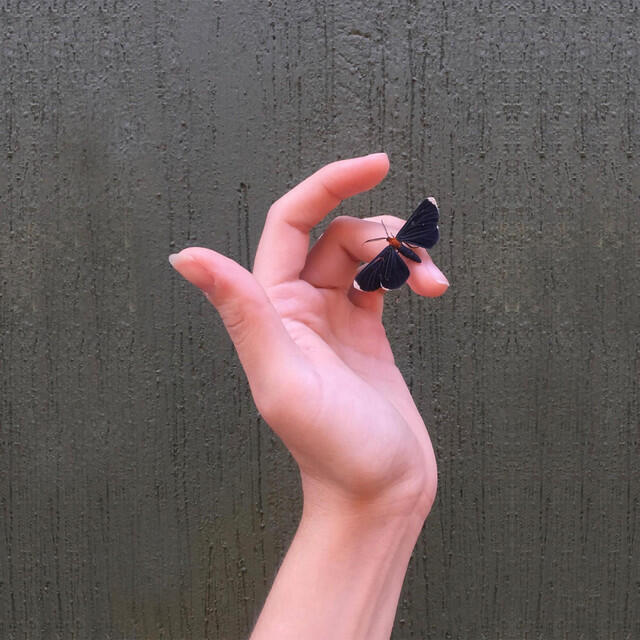 Релиз Rupturas
