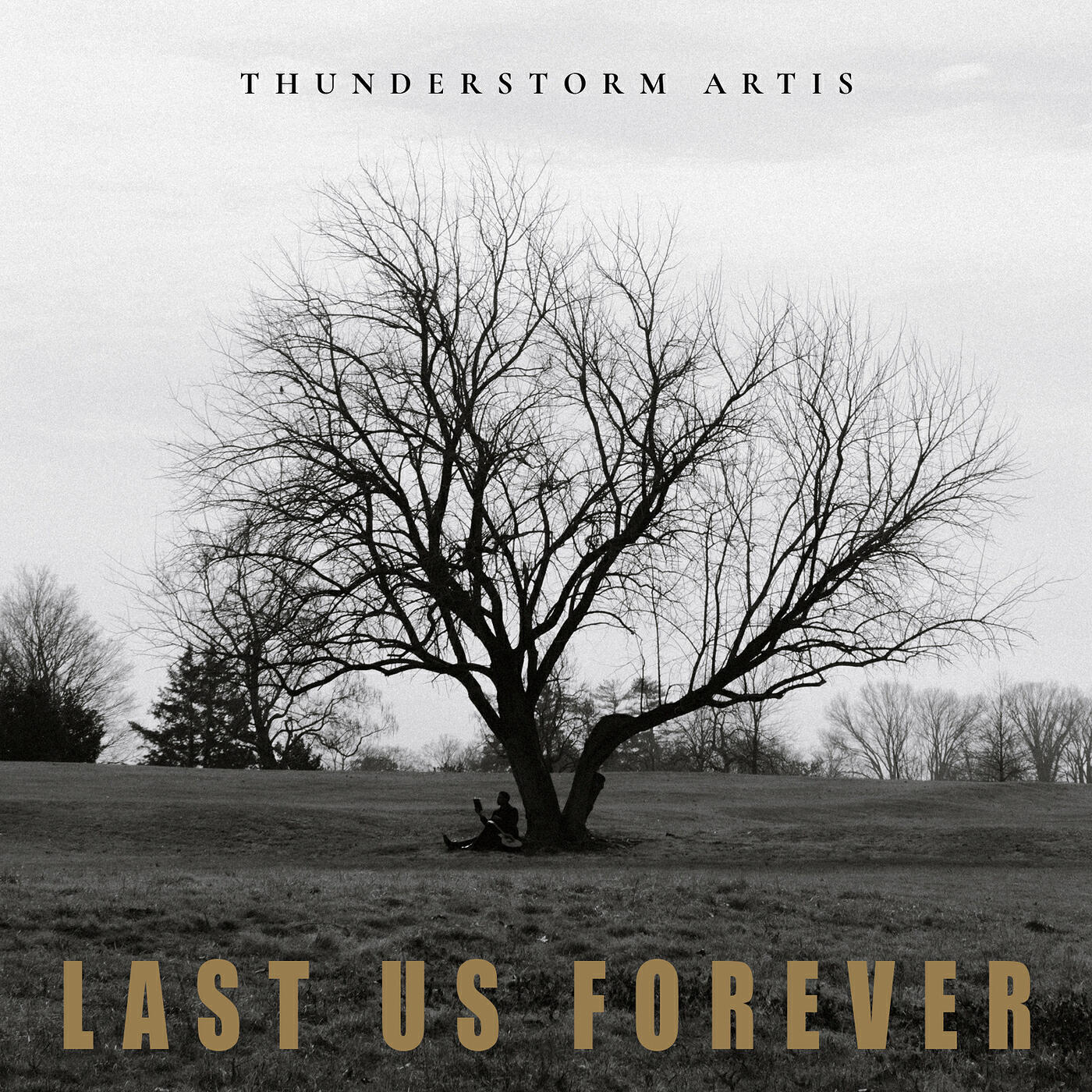 Релиз Last Us Forever