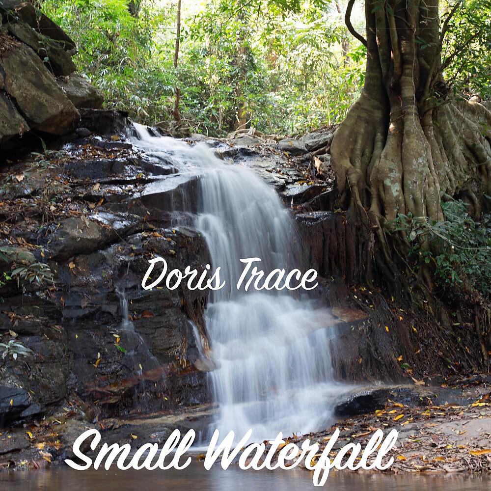 Doris Trace