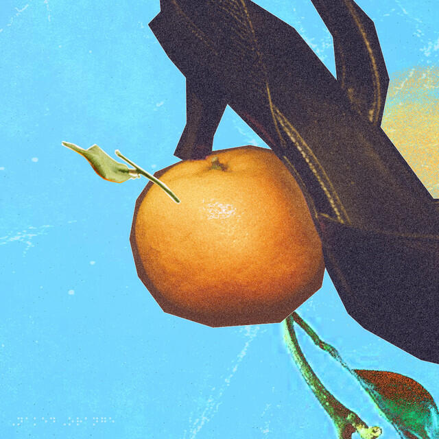 Релиз Naked Orange