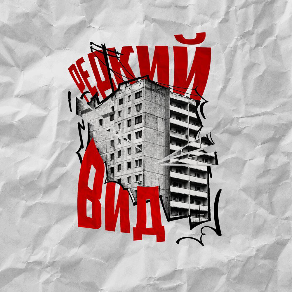 Релиз Редкий вид