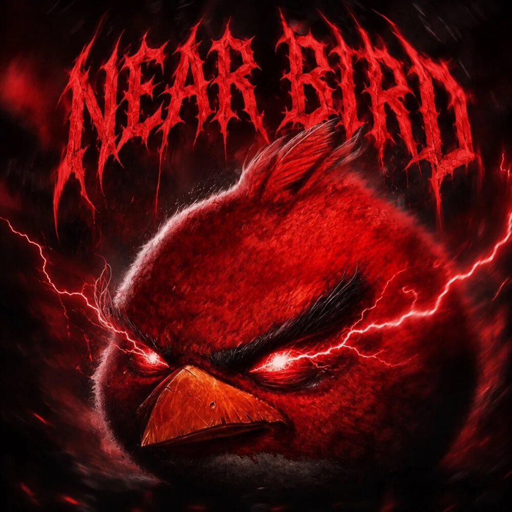 Релиз NEAR BIRD