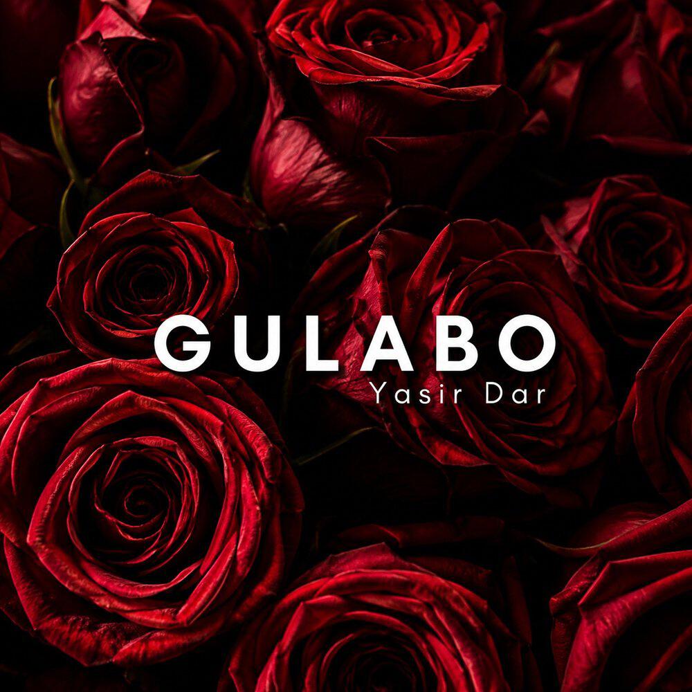 Релиз Gulabo