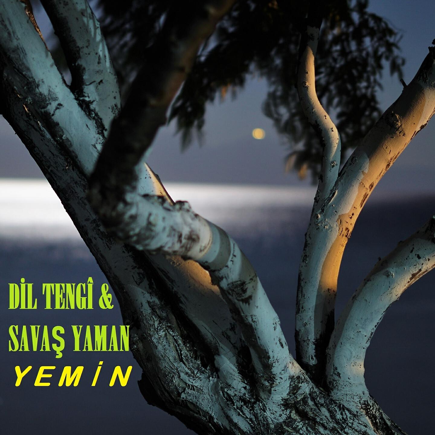 Dil Tengî