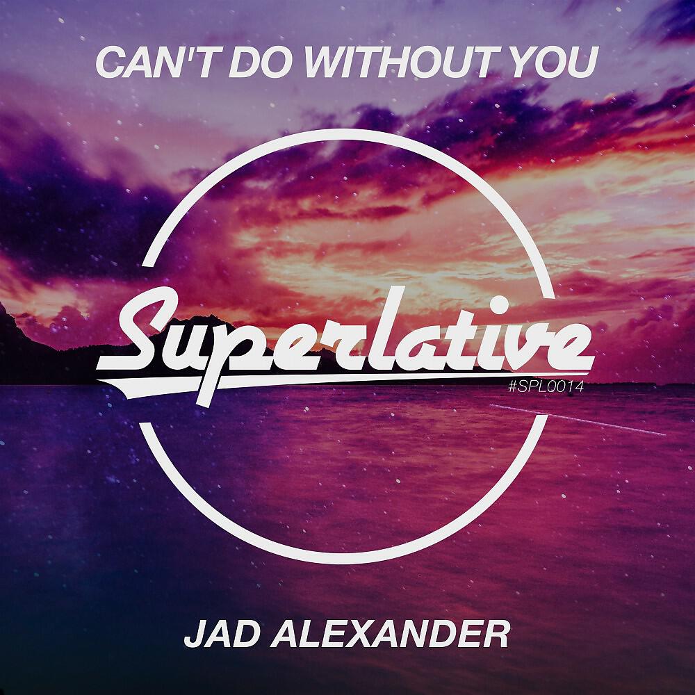 Релиз Can't Do Without You