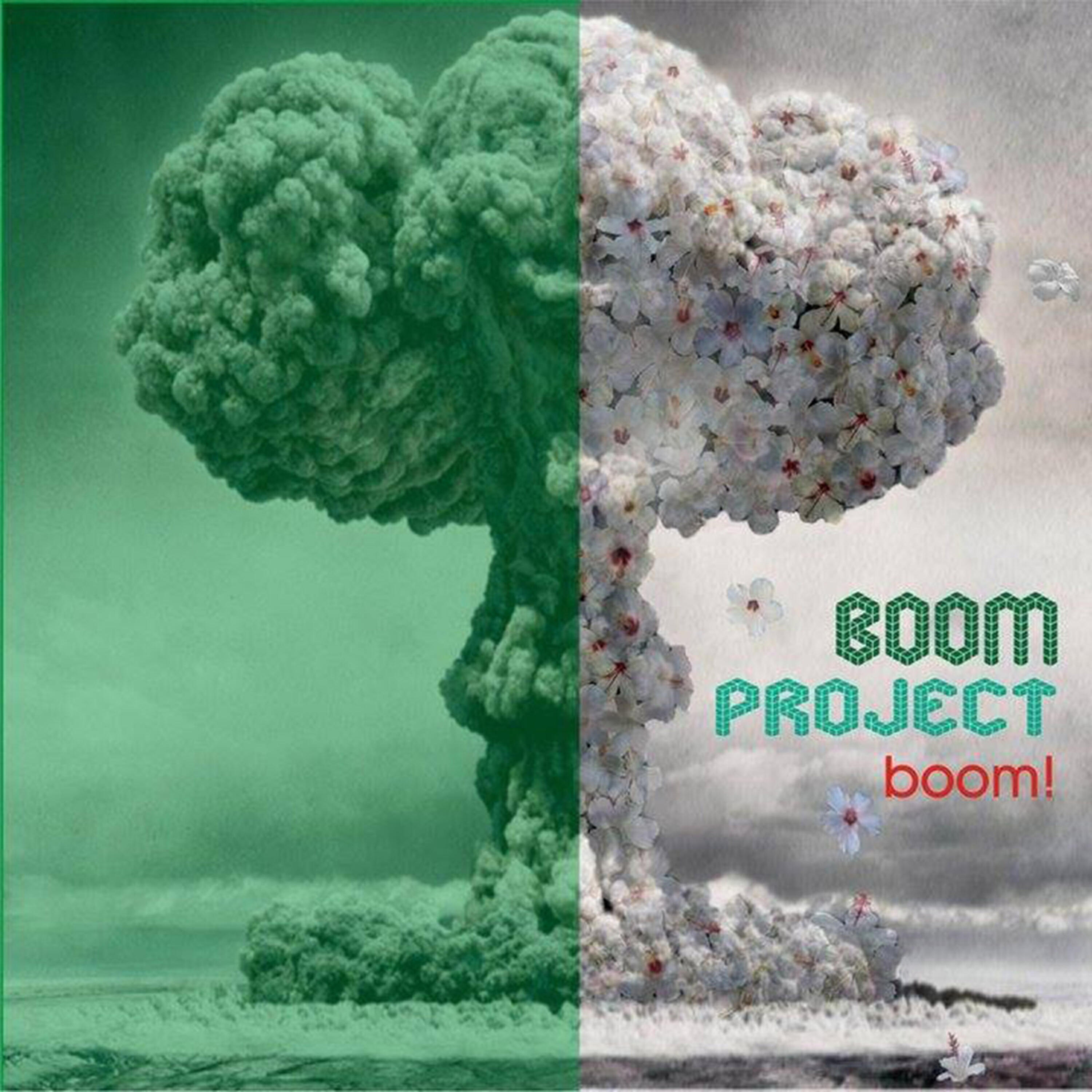 Boom Project