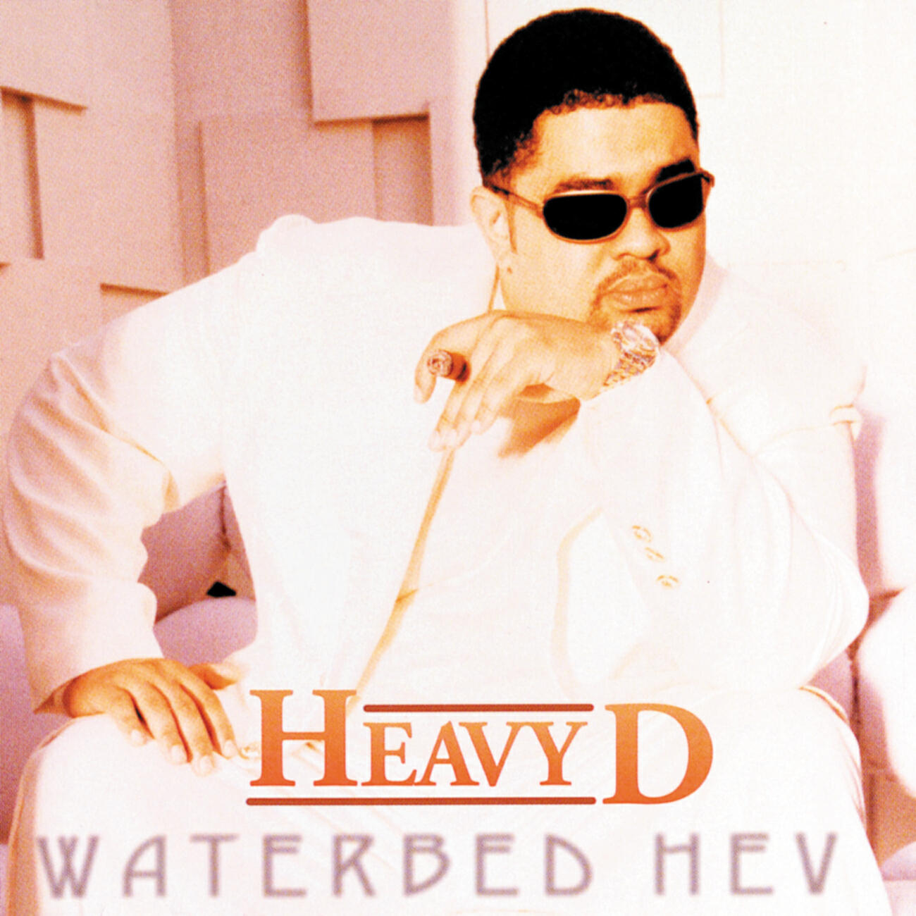 Скачать песню Heavy D - Shake It (Album Version) бесплатно в MP3 для Android и iOS