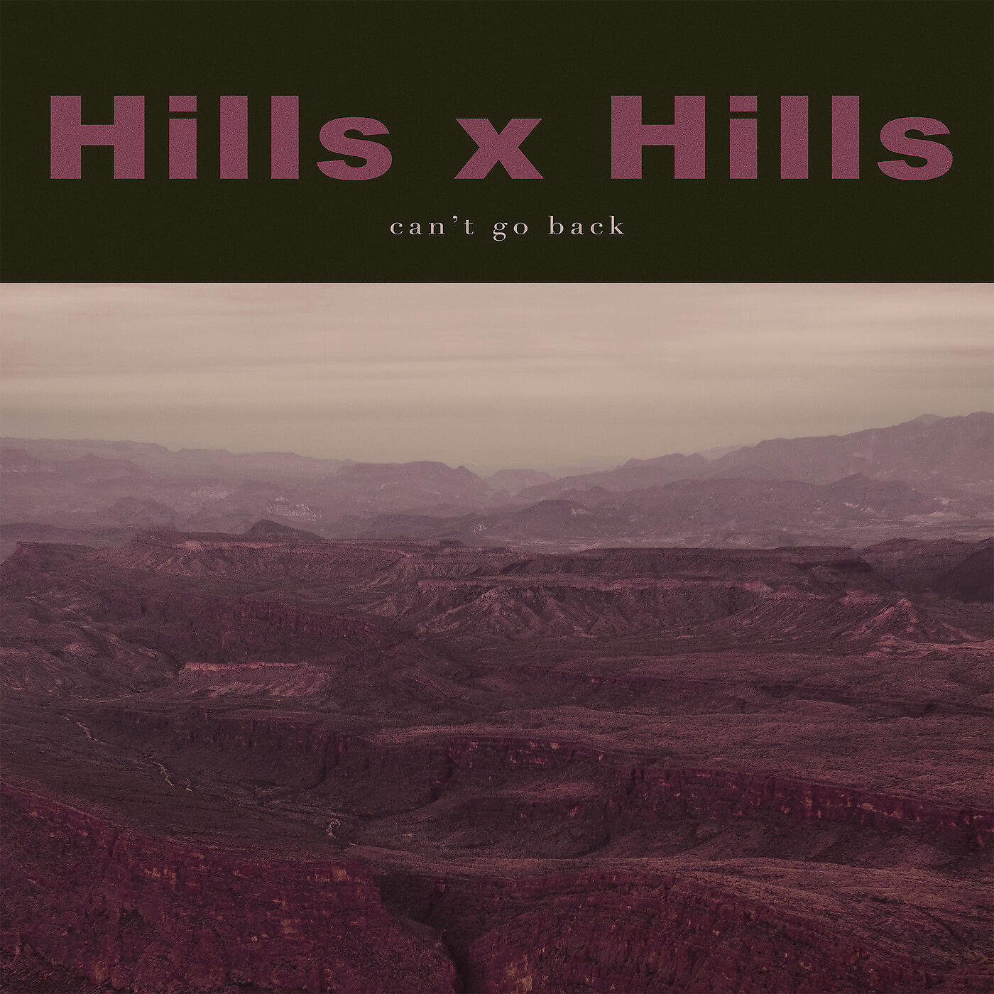 Релиз Can't Go Back