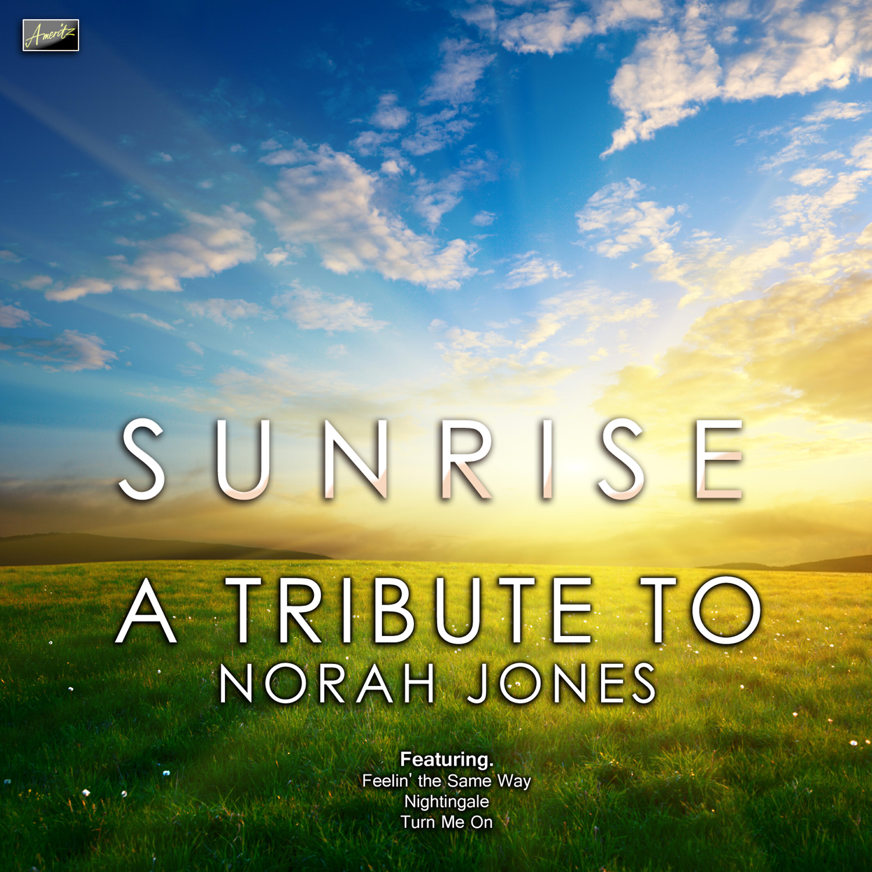 Релиз Sunrise - A Tribute to Norah Jones