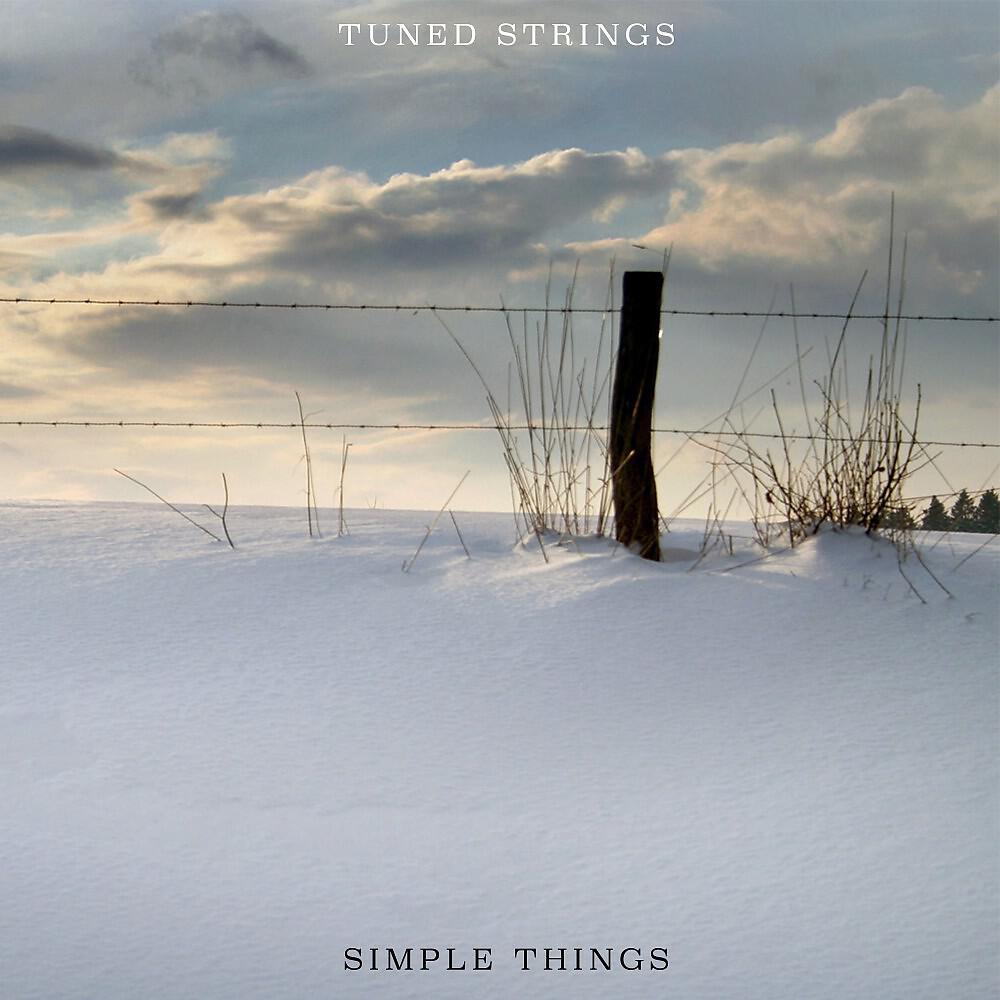 Релиз Simple Things