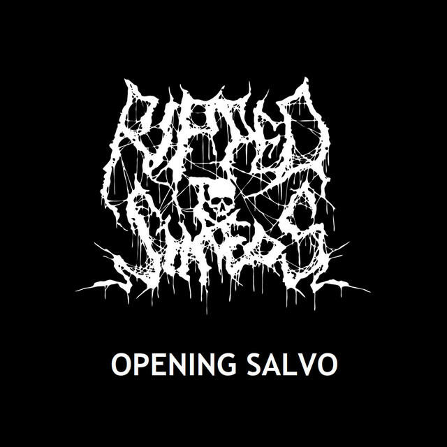 Релиз Opening Salvo