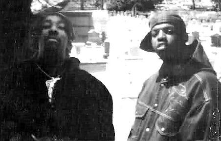 Strickly Roots