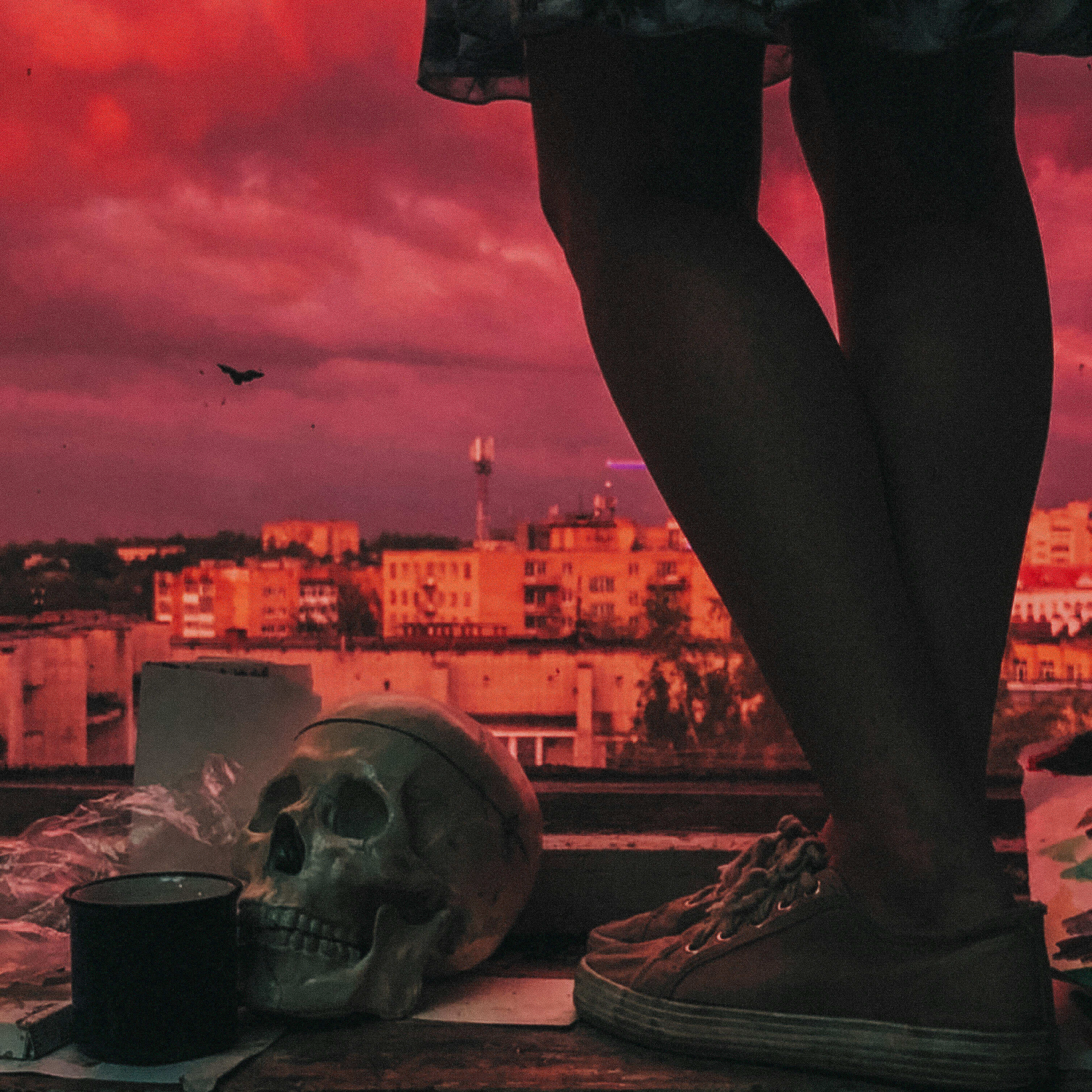 Релиз Expectations