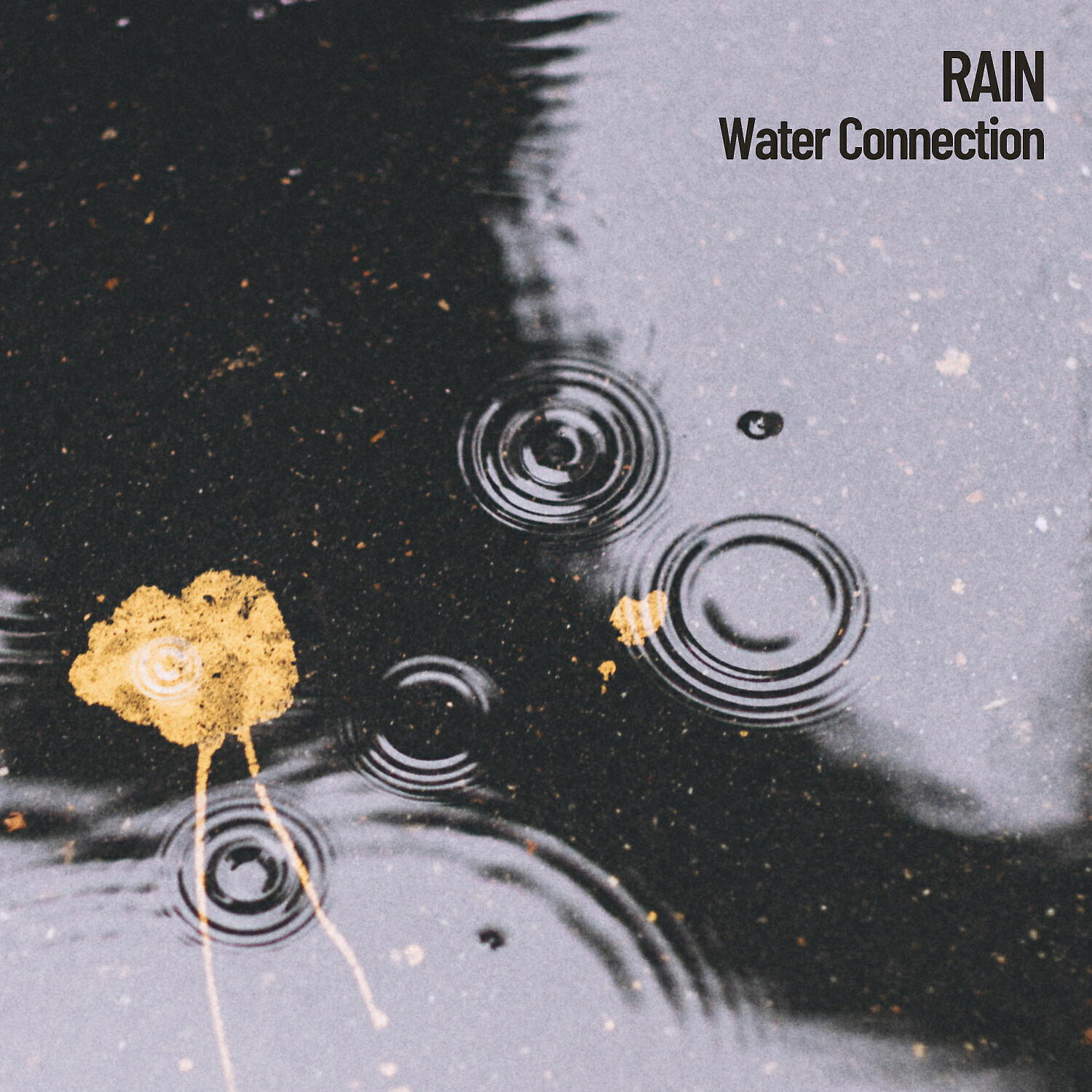 Outdoor Field Recorders & Rain Sounds & Sleep Music Guys - Sleeptime Rain