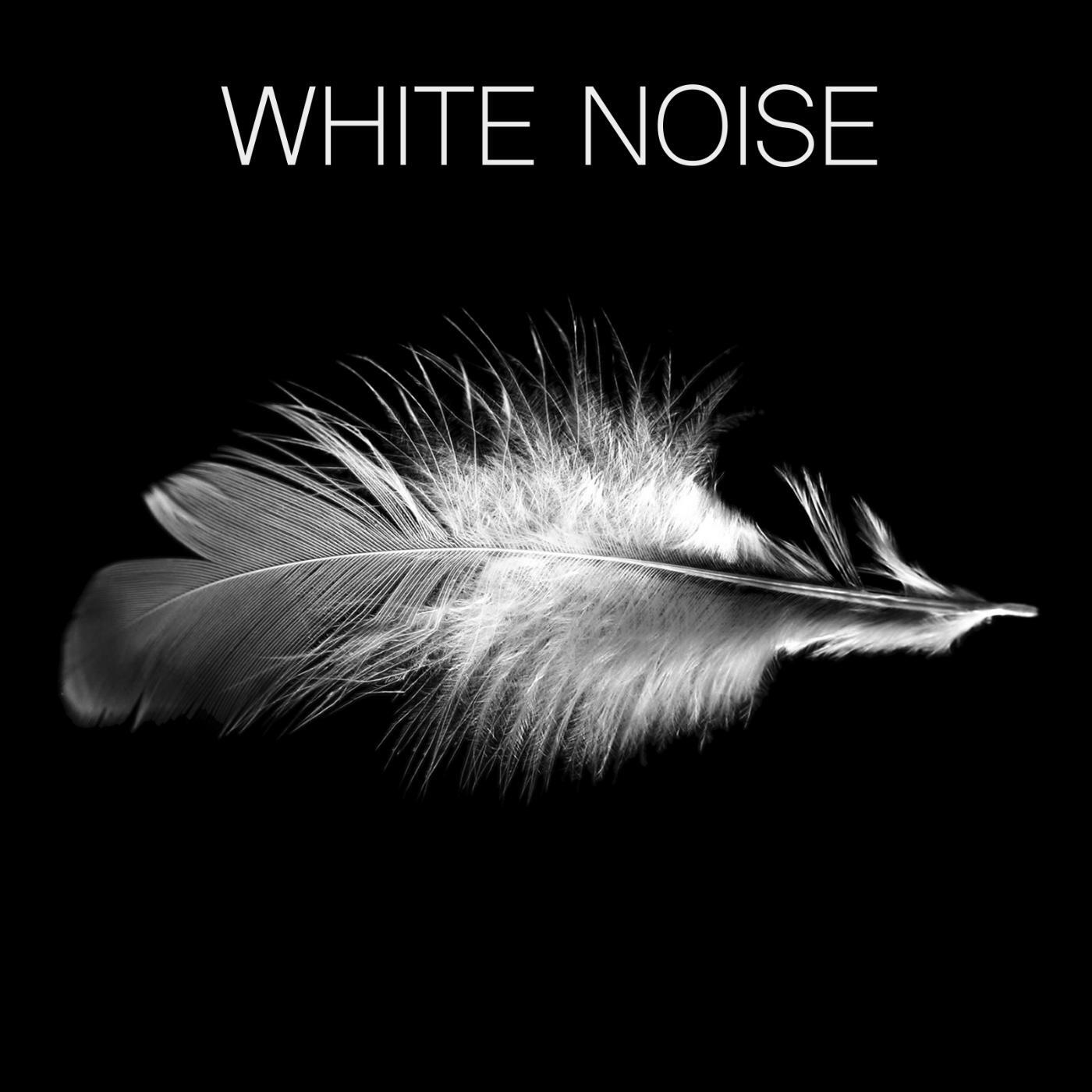 Релиз White Noise