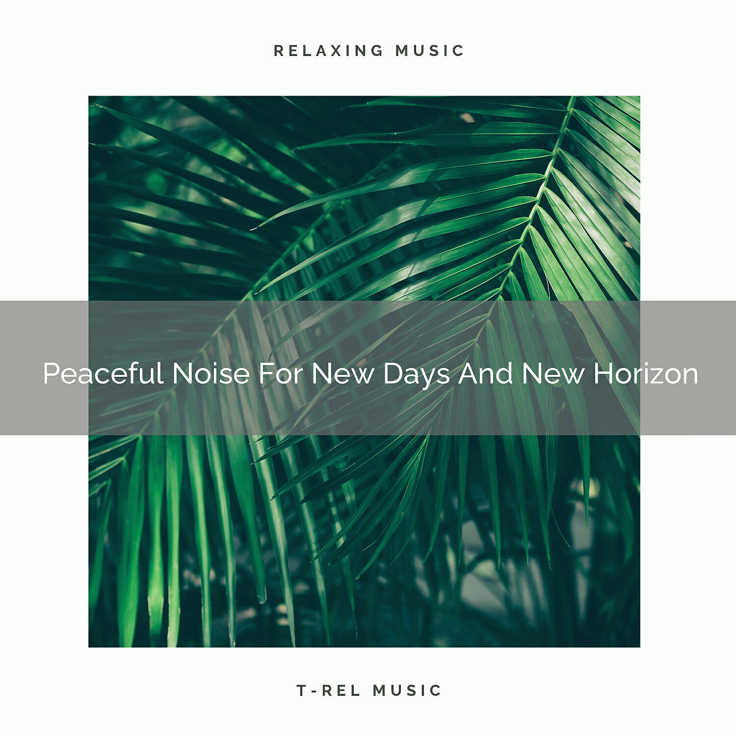 Релиз Peaceful Noise For New Days And New Horizon