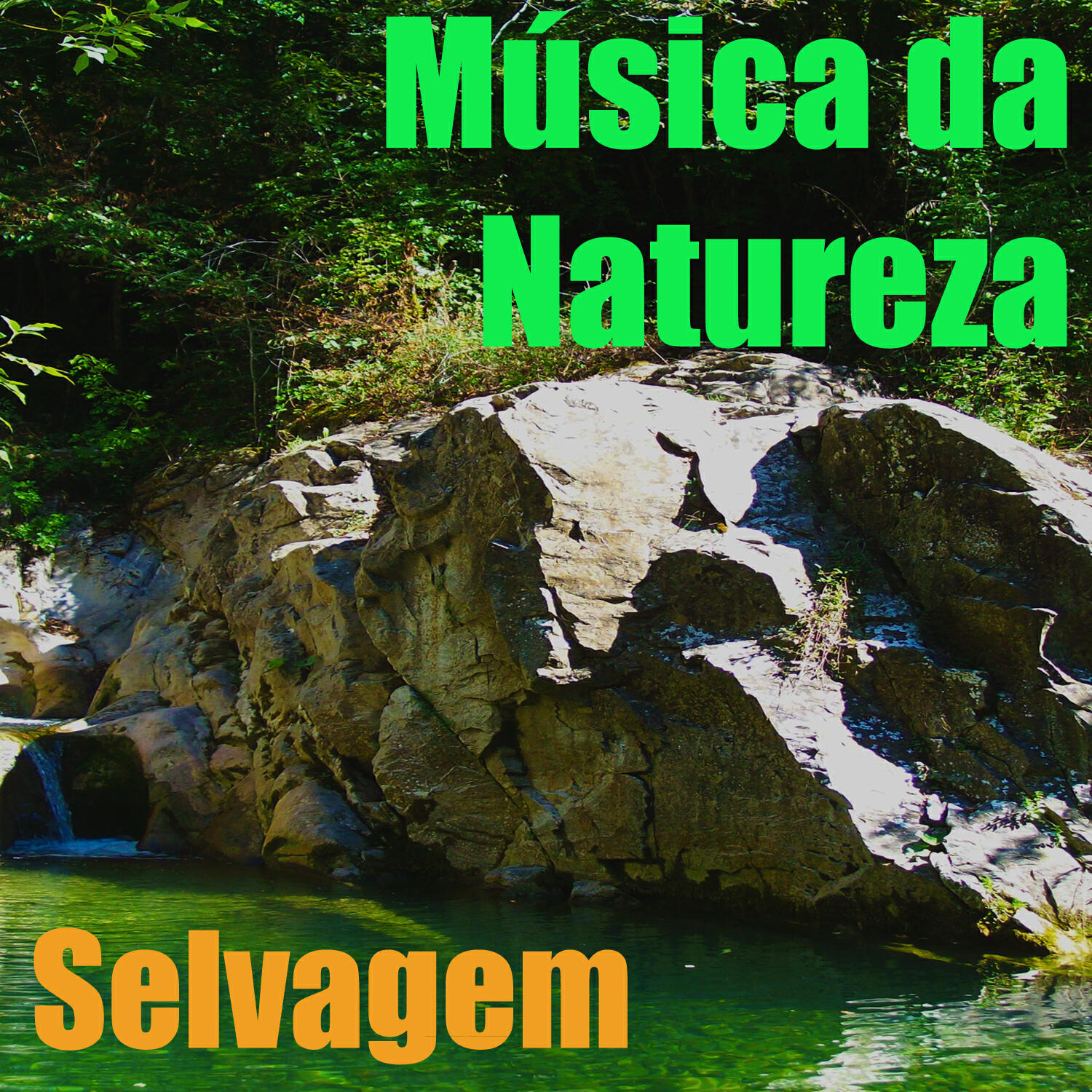 Релиз Música da Natureza