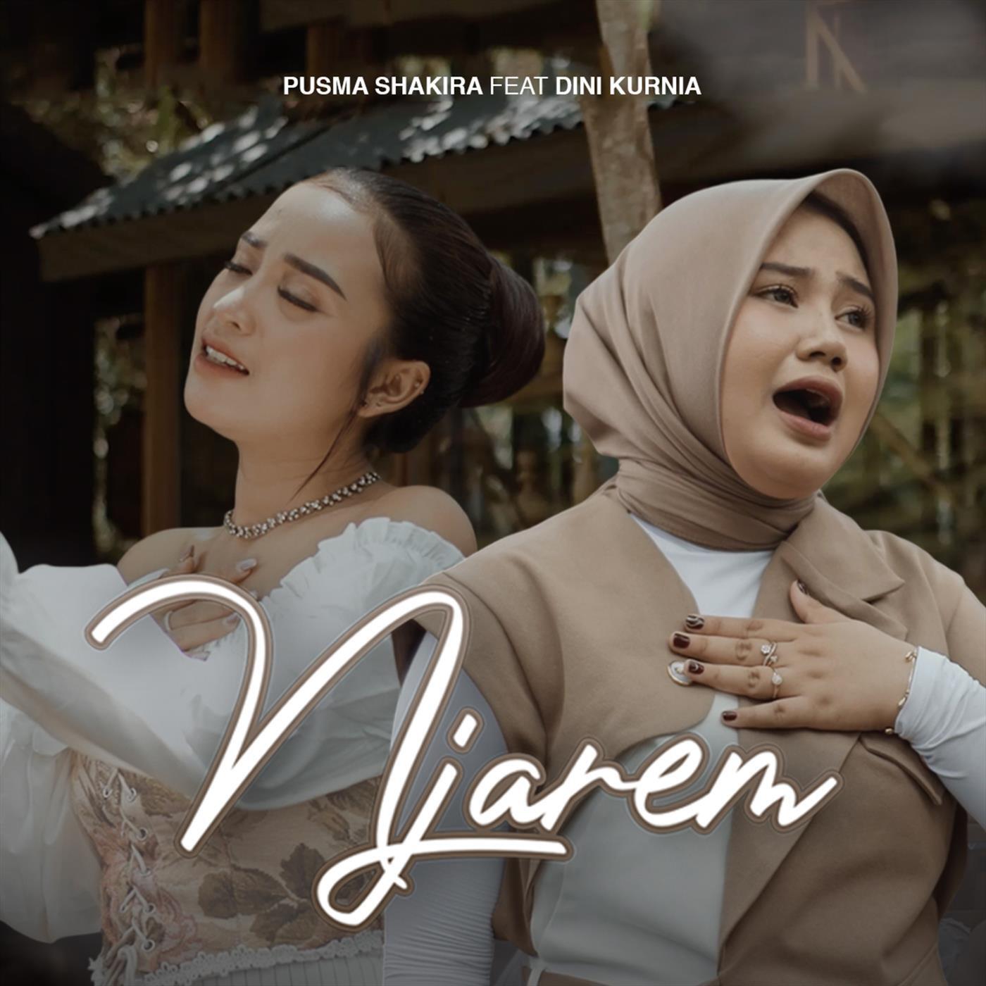 Релиз Njarem