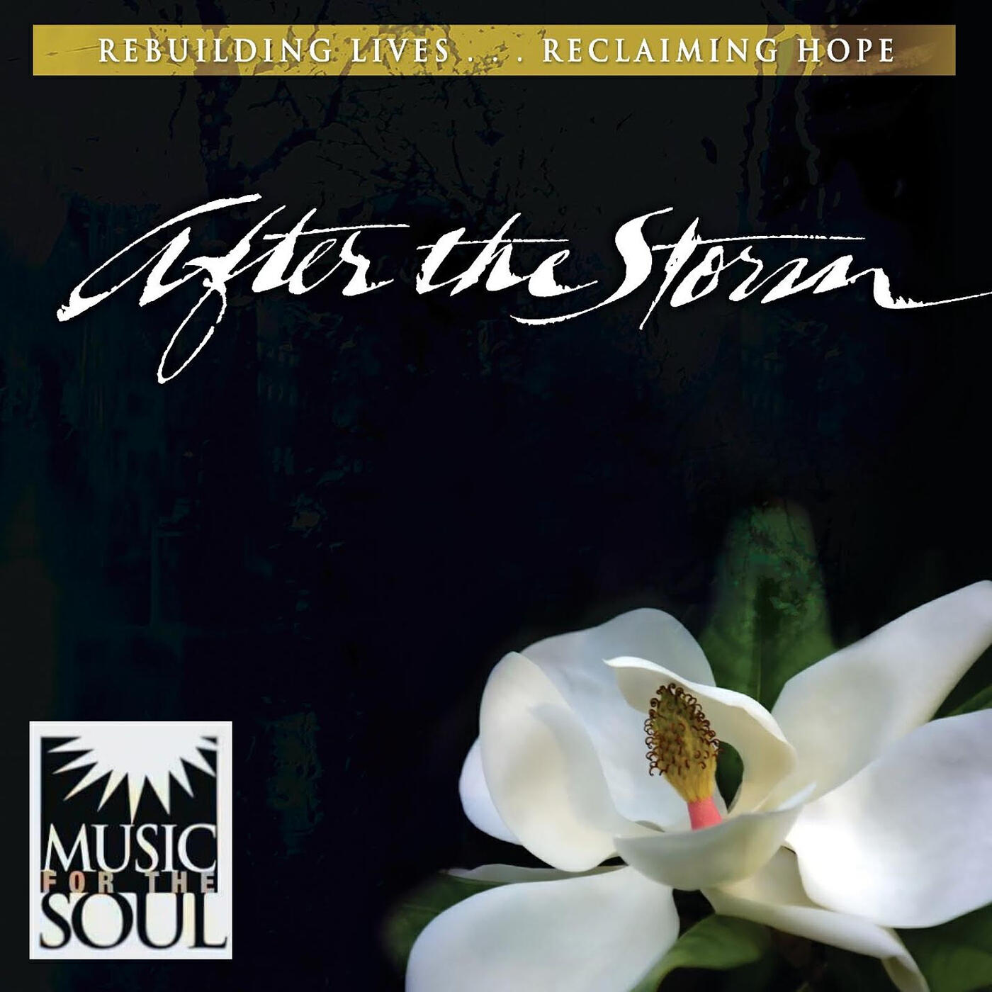 Релиз After the Storm