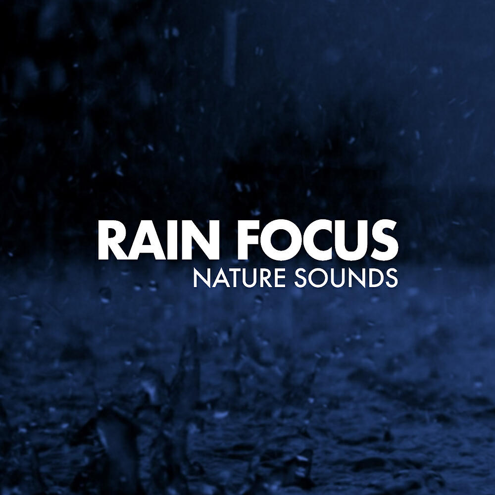 Релиз Rain Focus