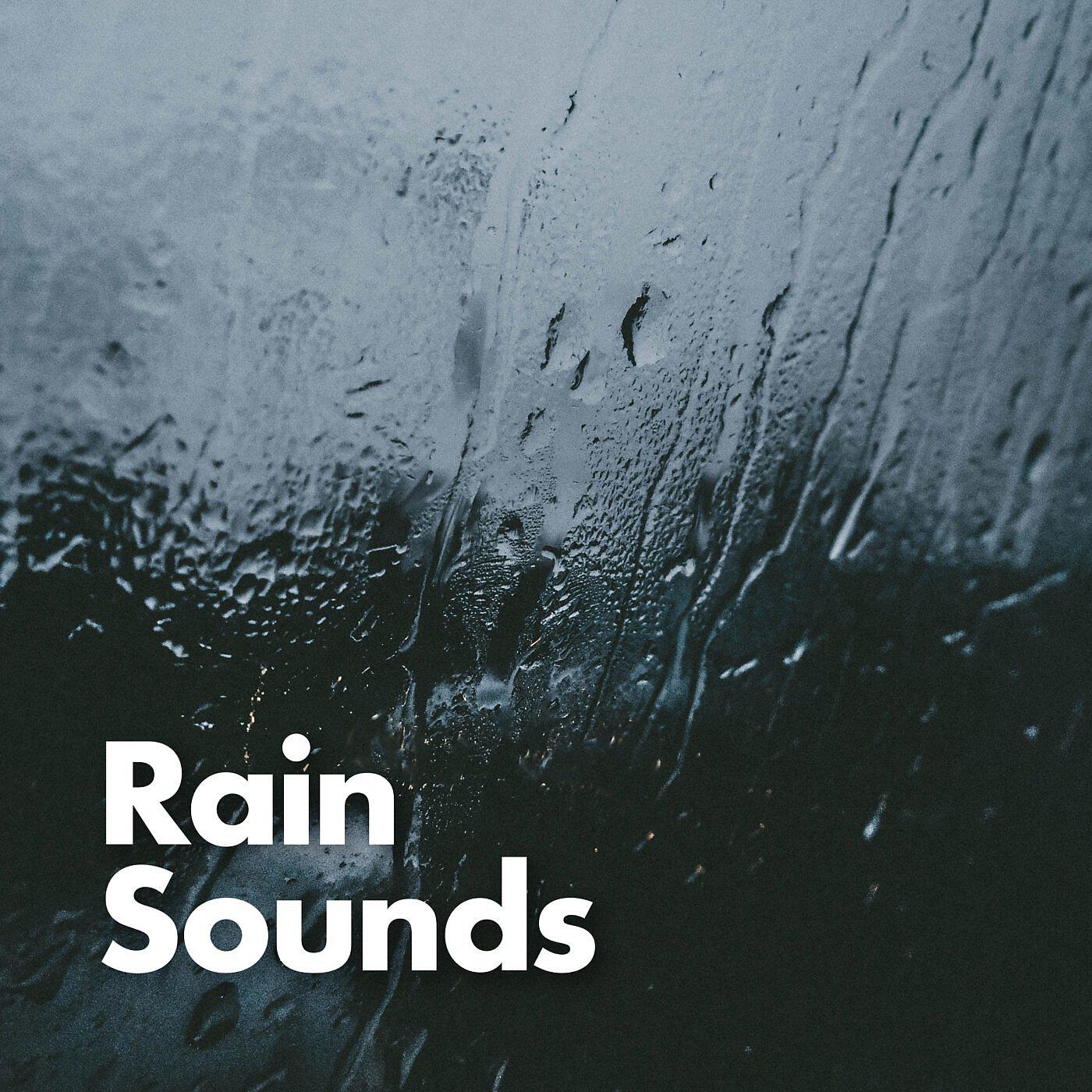 Релиз Rain Sounds