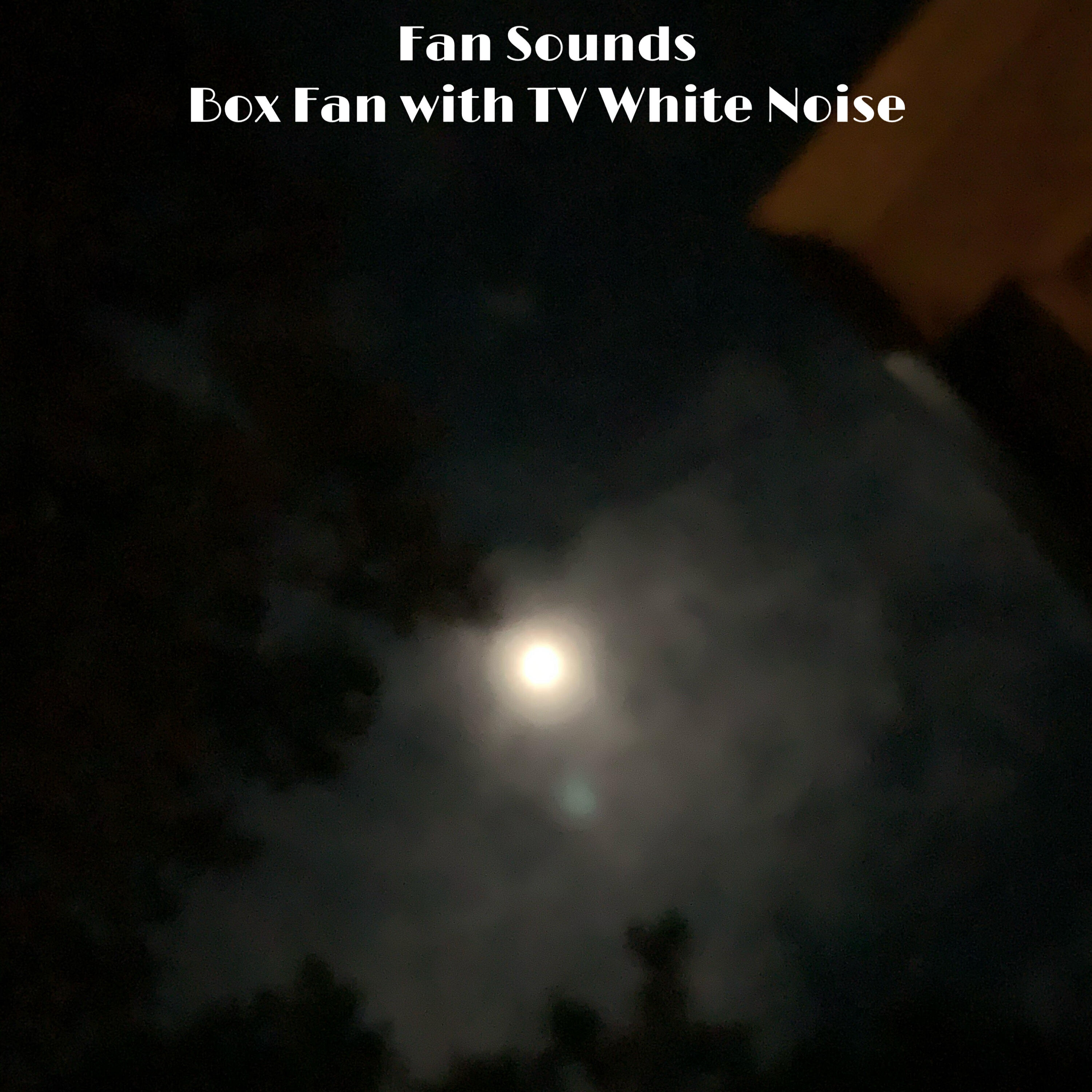 Релиз Box Fan with Tv White Noise
