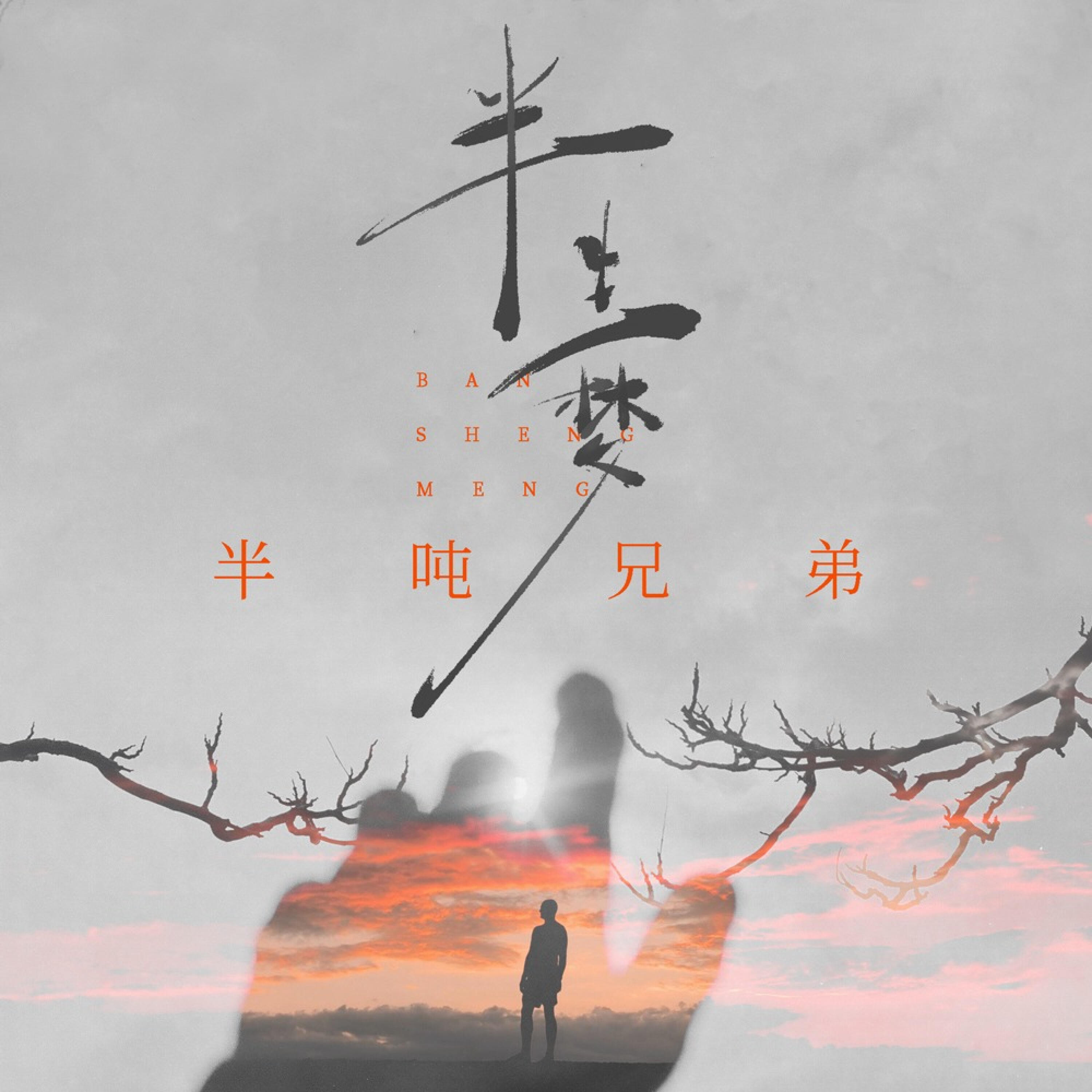 Релиз 半生梦