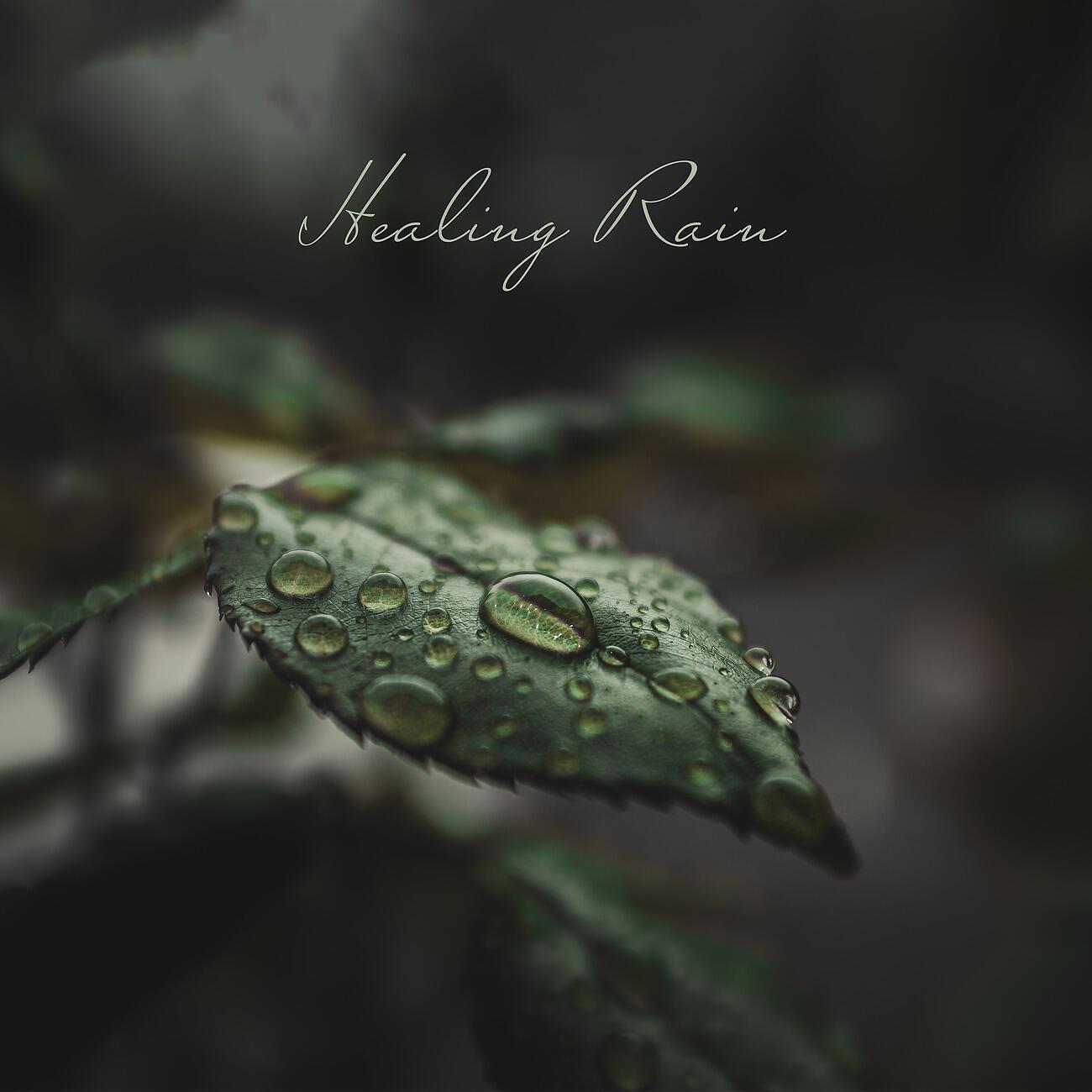 Релиз Healing Rain