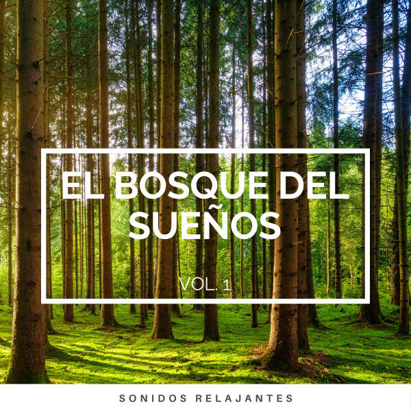 Релиз 1 Bosque del Sueños vol. 1