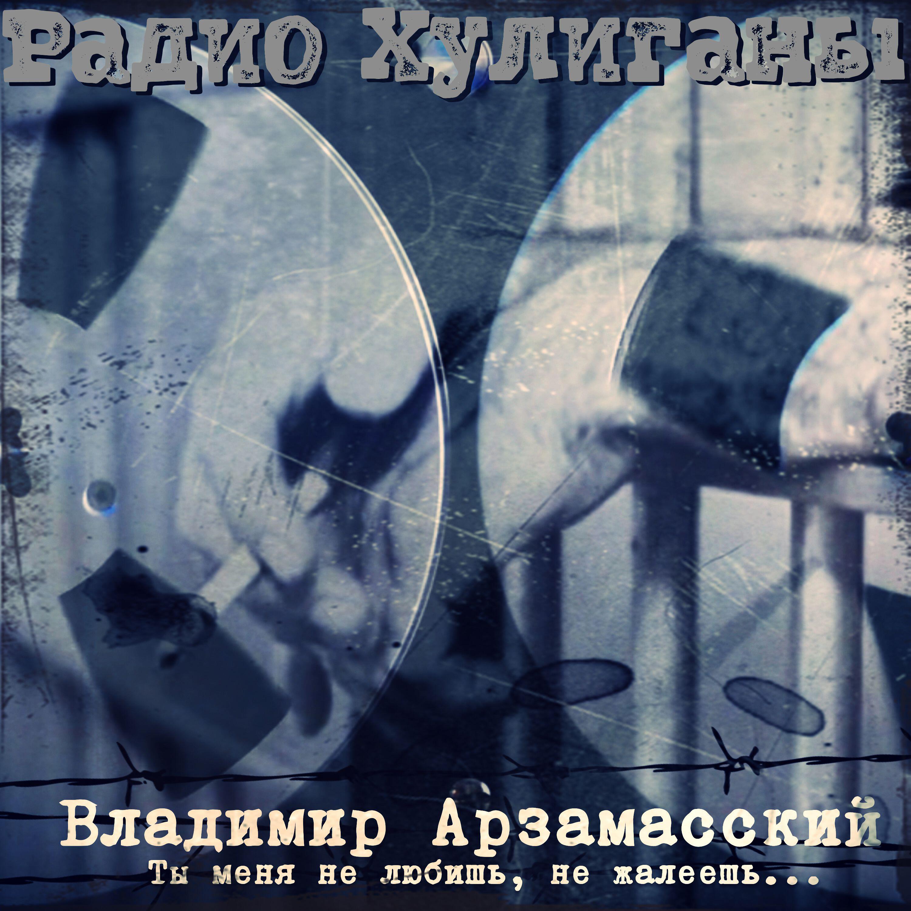 Релиз Ты меня не любишь, не жалеешь...