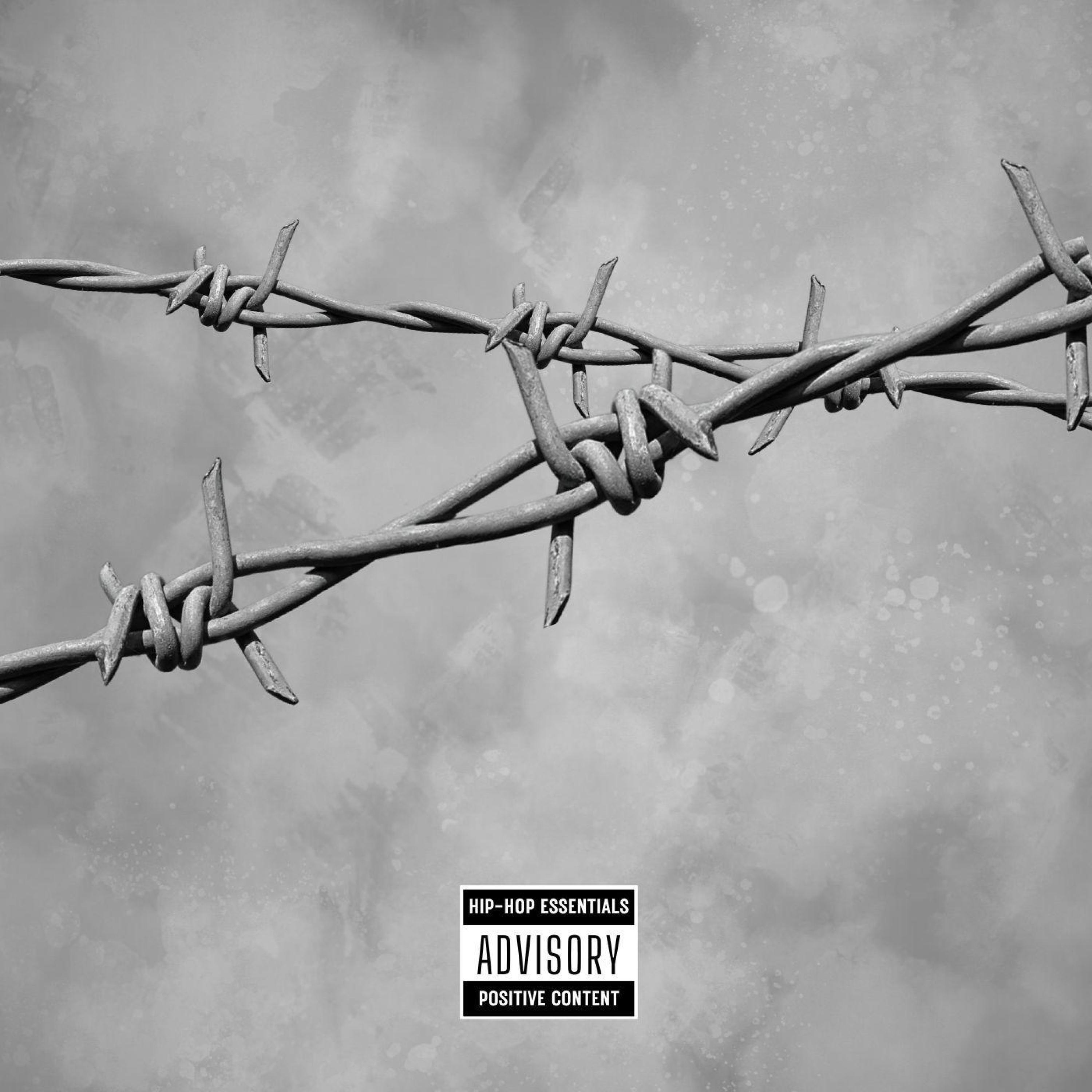 Релиз 围墙（Fence）