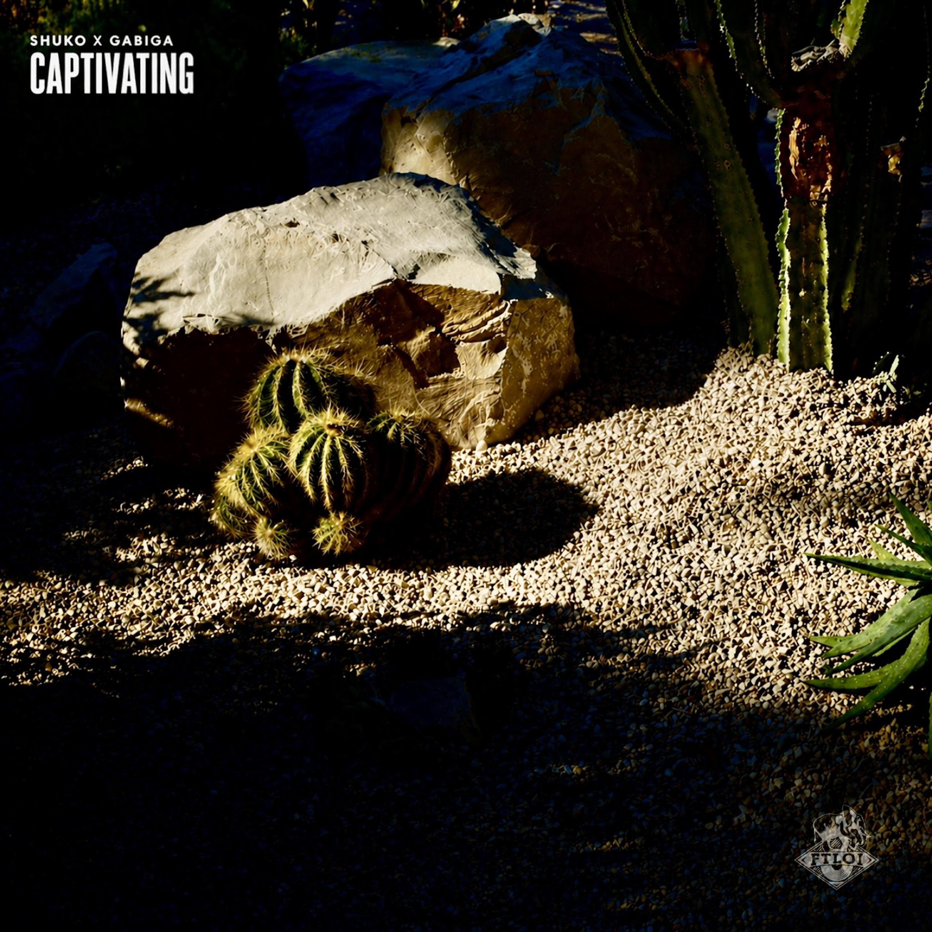 Релиз Captivating